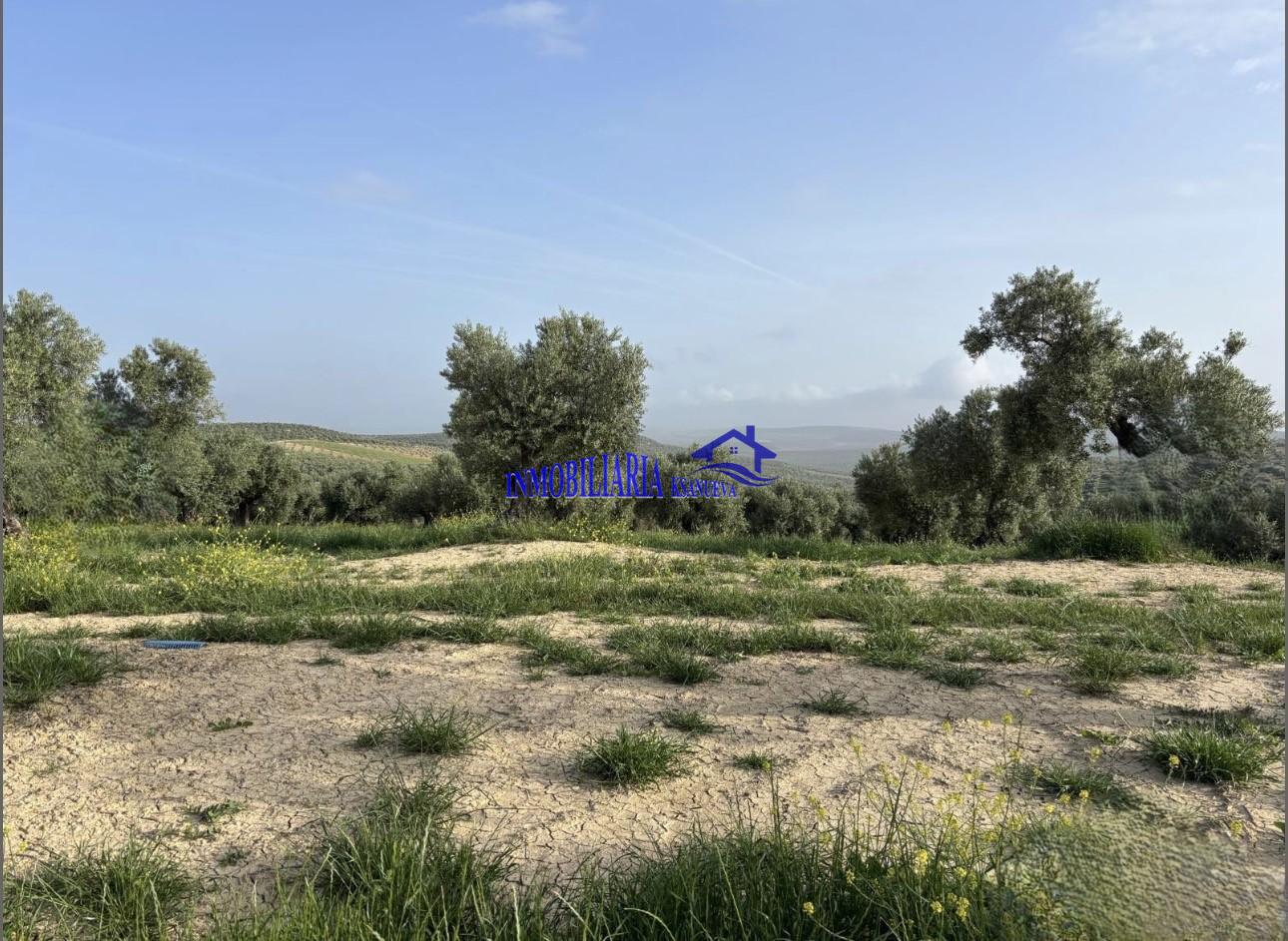 Venta de finca rústica en Córdoba