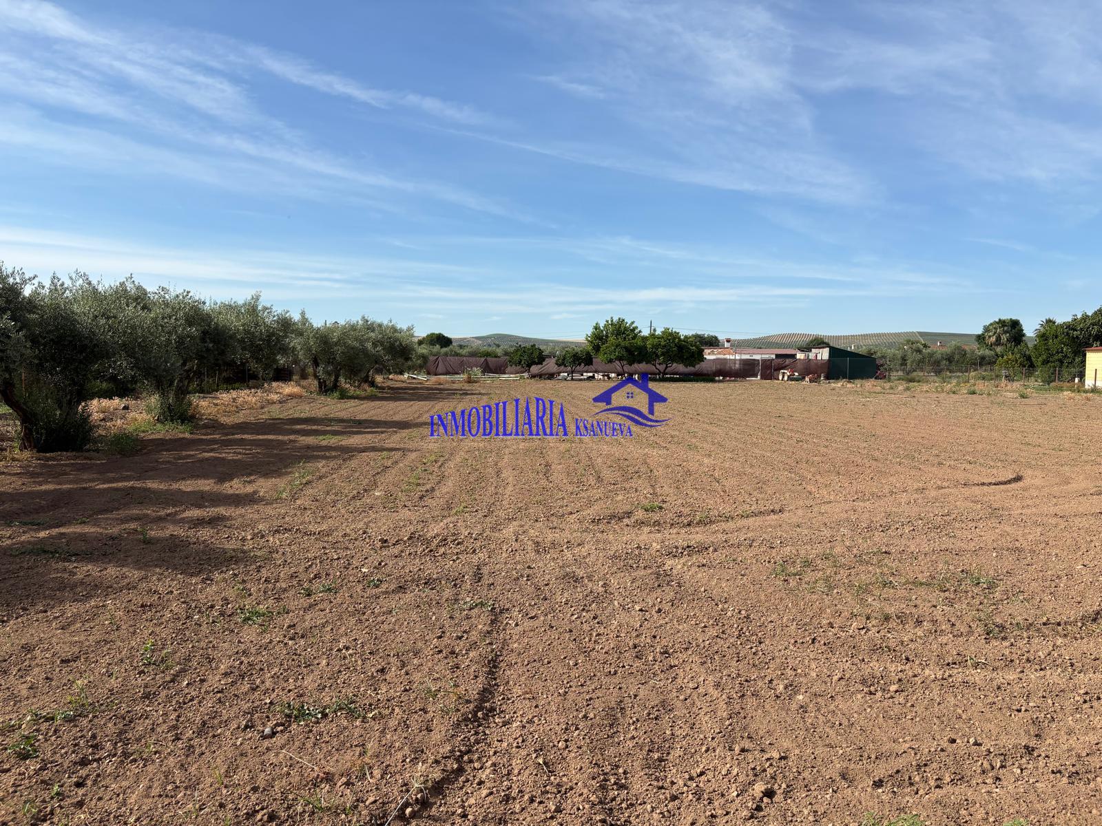 Venta de finca rústica en Córdoba