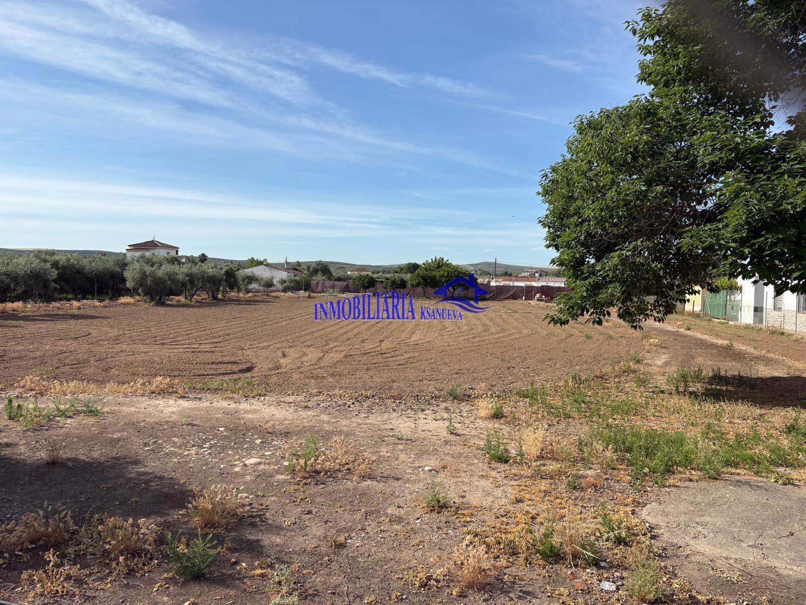 Venta de finca rústica en Córdoba