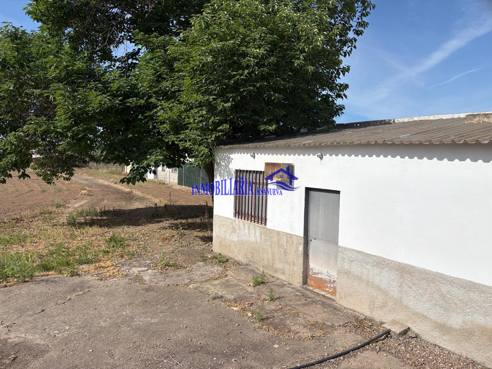 Venta de finca rústica en Córdoba