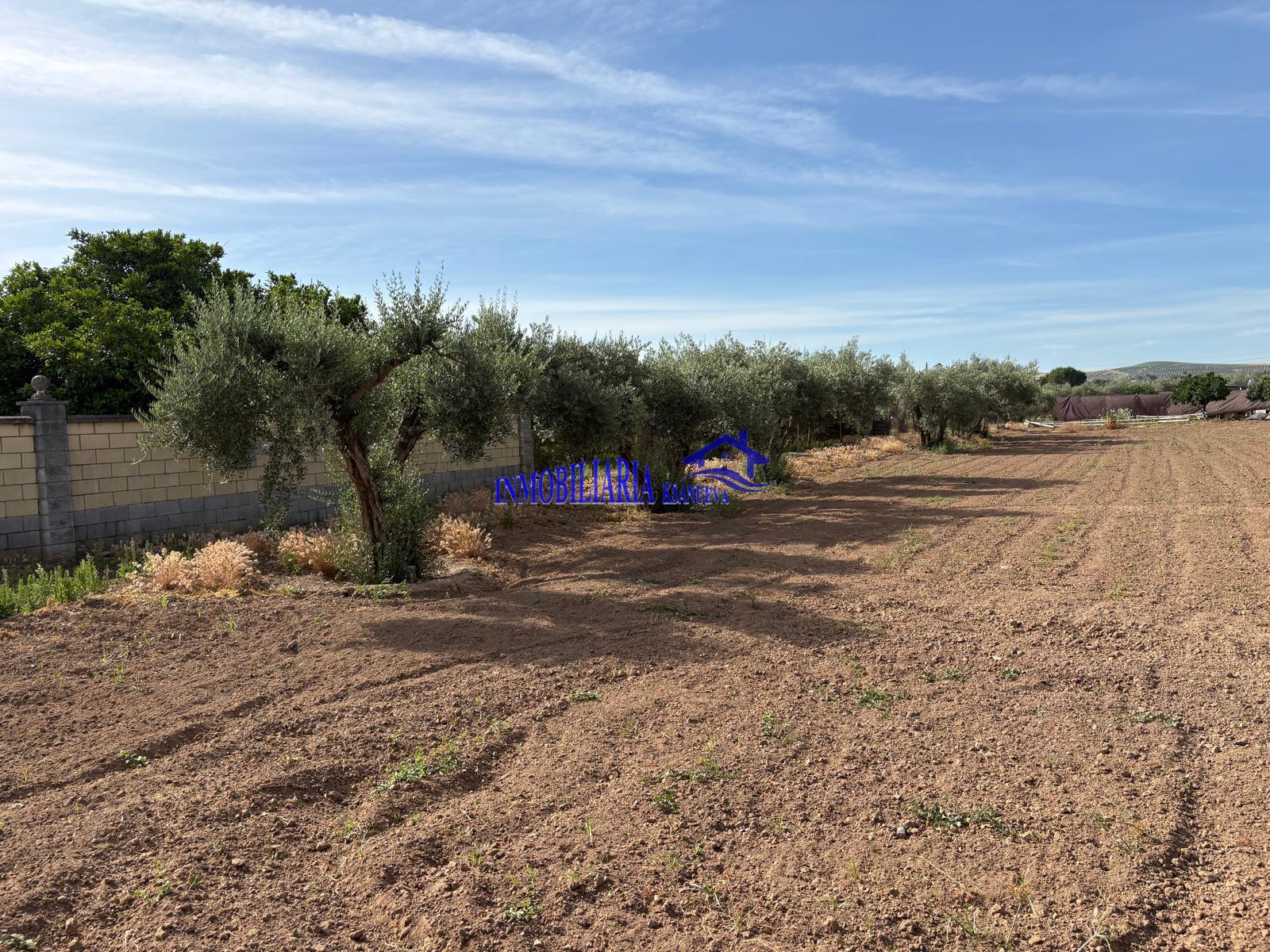 Venta de finca rústica en Córdoba