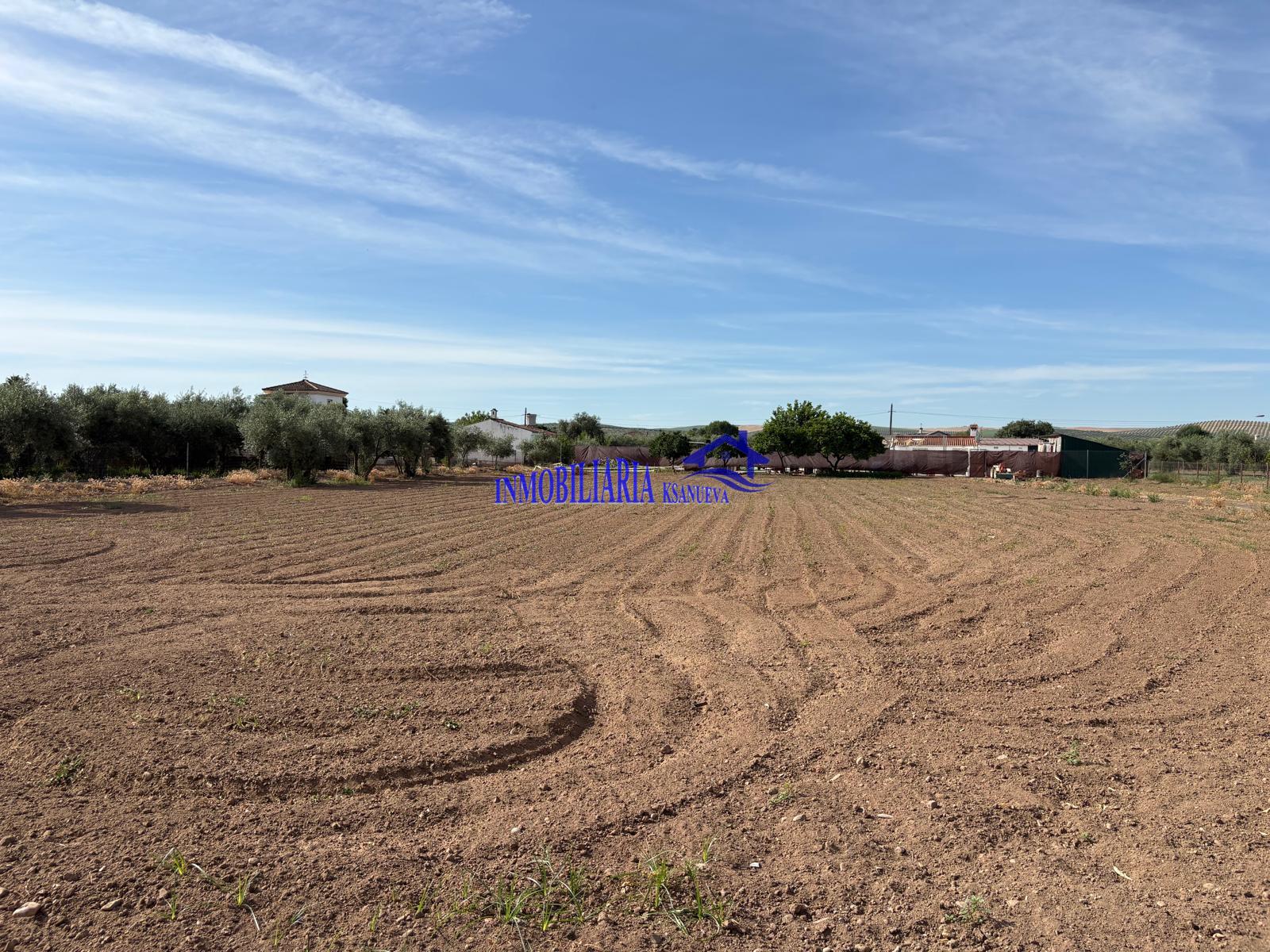Venta de finca rústica en Córdoba