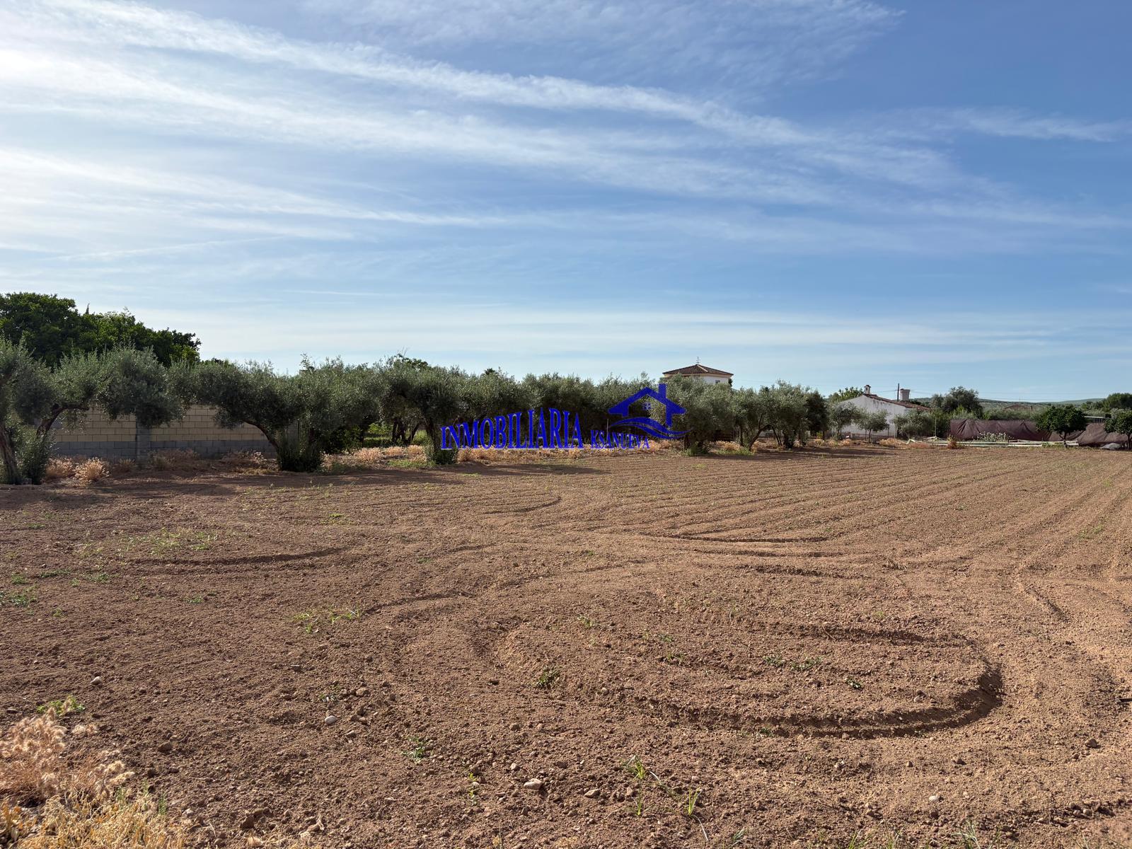 Venta de finca rústica en Córdoba