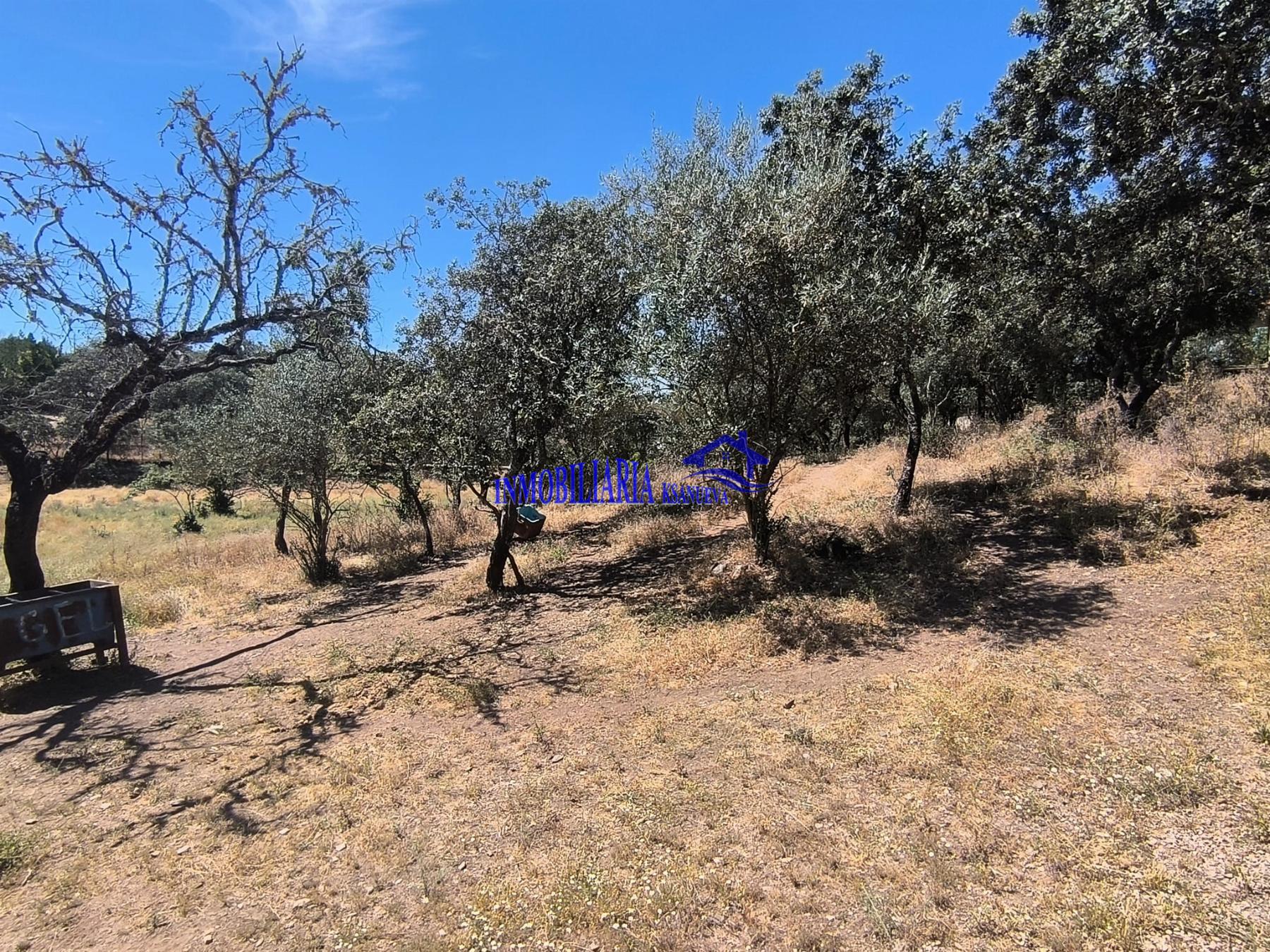 Venta de chalet en Córdoba