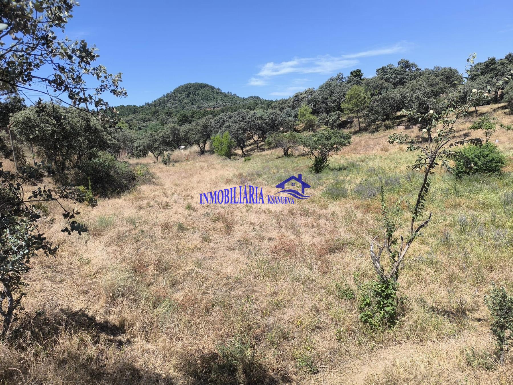 Venta de chalet en Córdoba