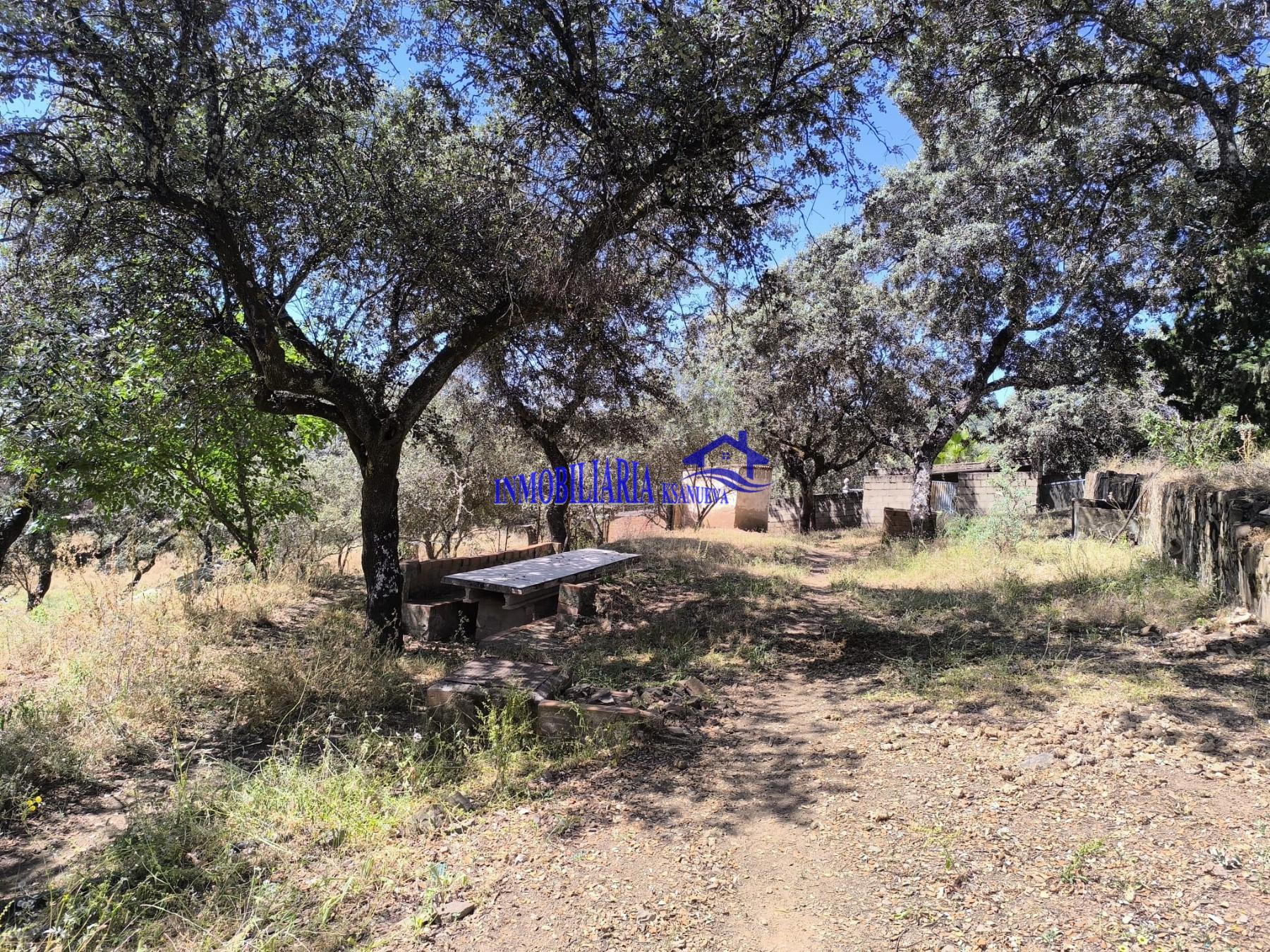 Venta de chalet en Córdoba