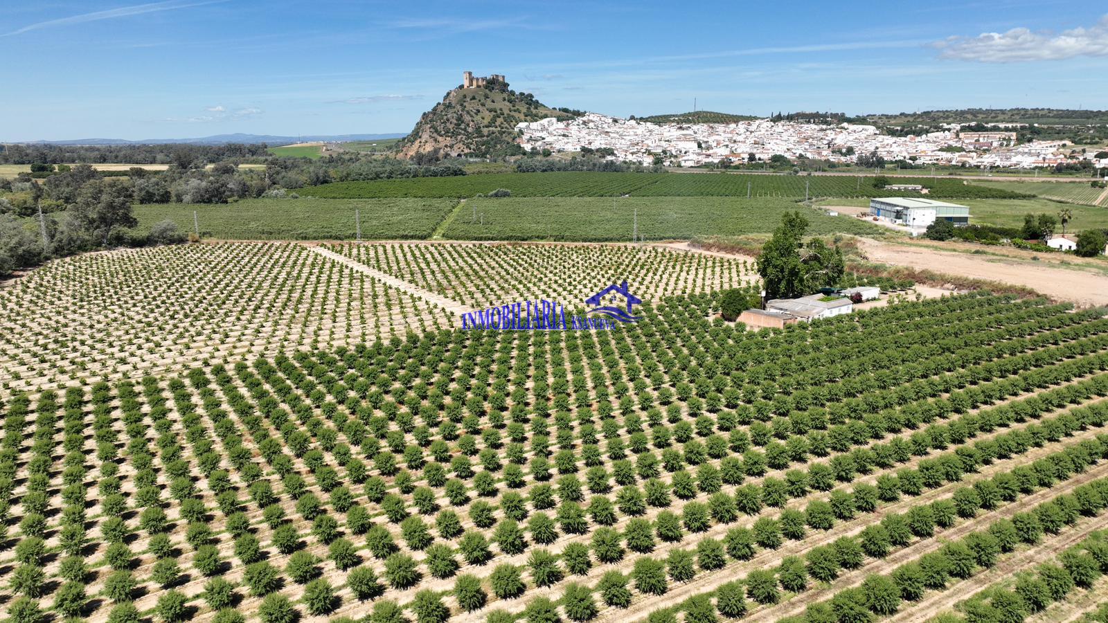 Venta de finca rústica en Córdoba