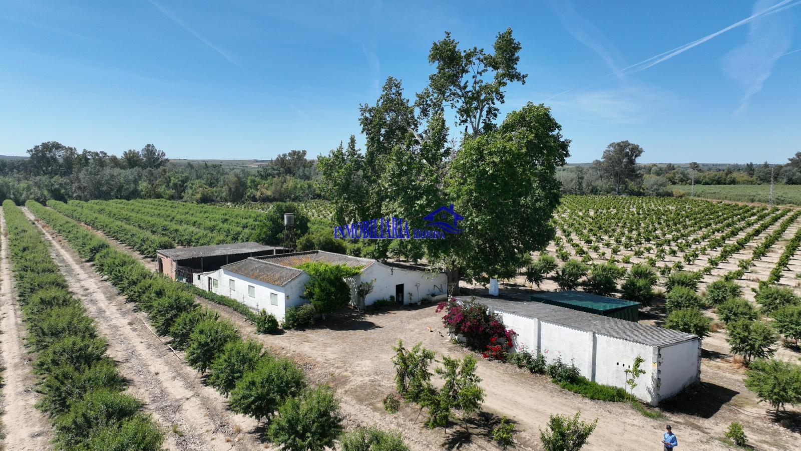 Venta de finca rústica en Córdoba