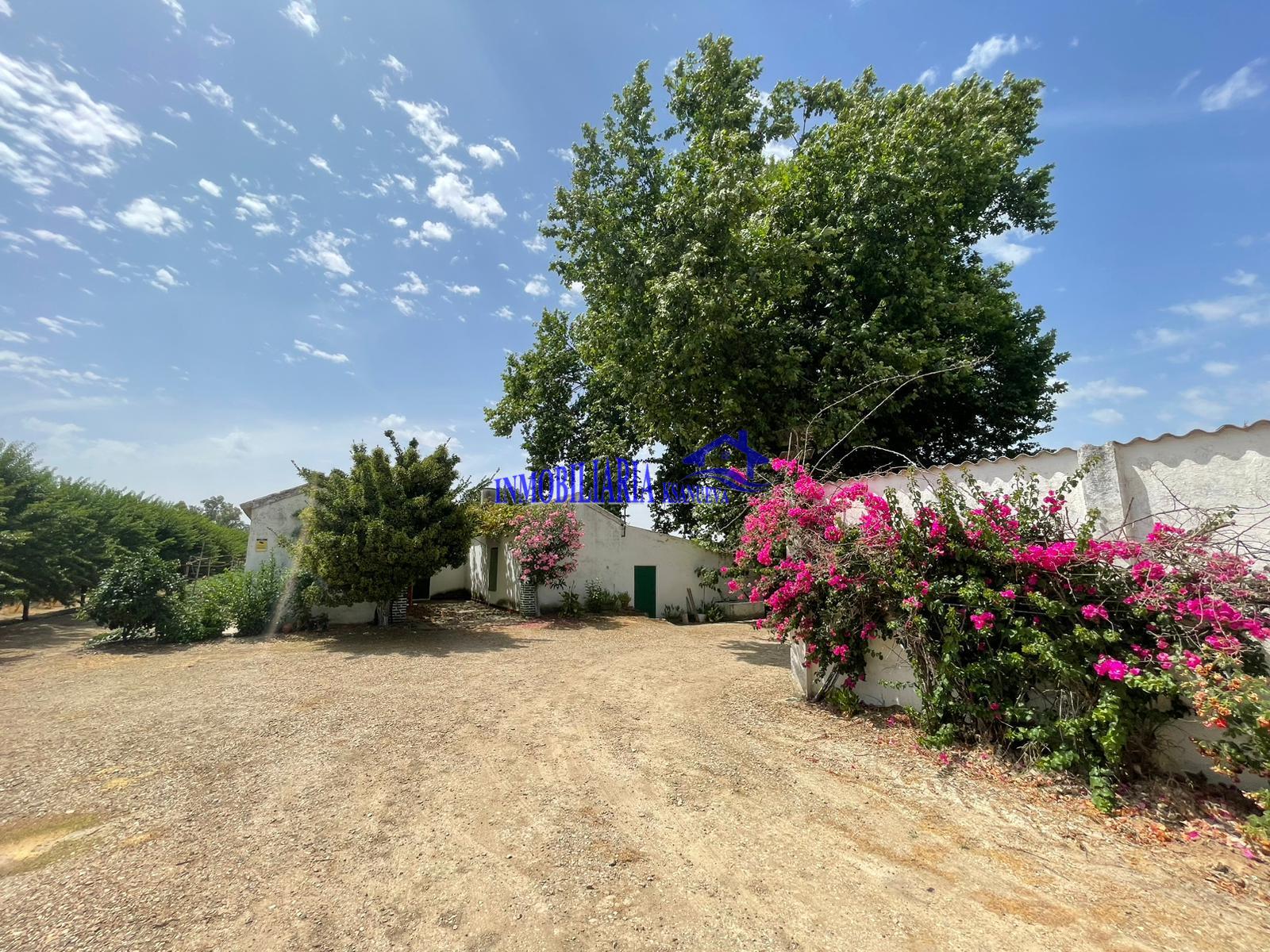 Venta de finca rústica en Córdoba