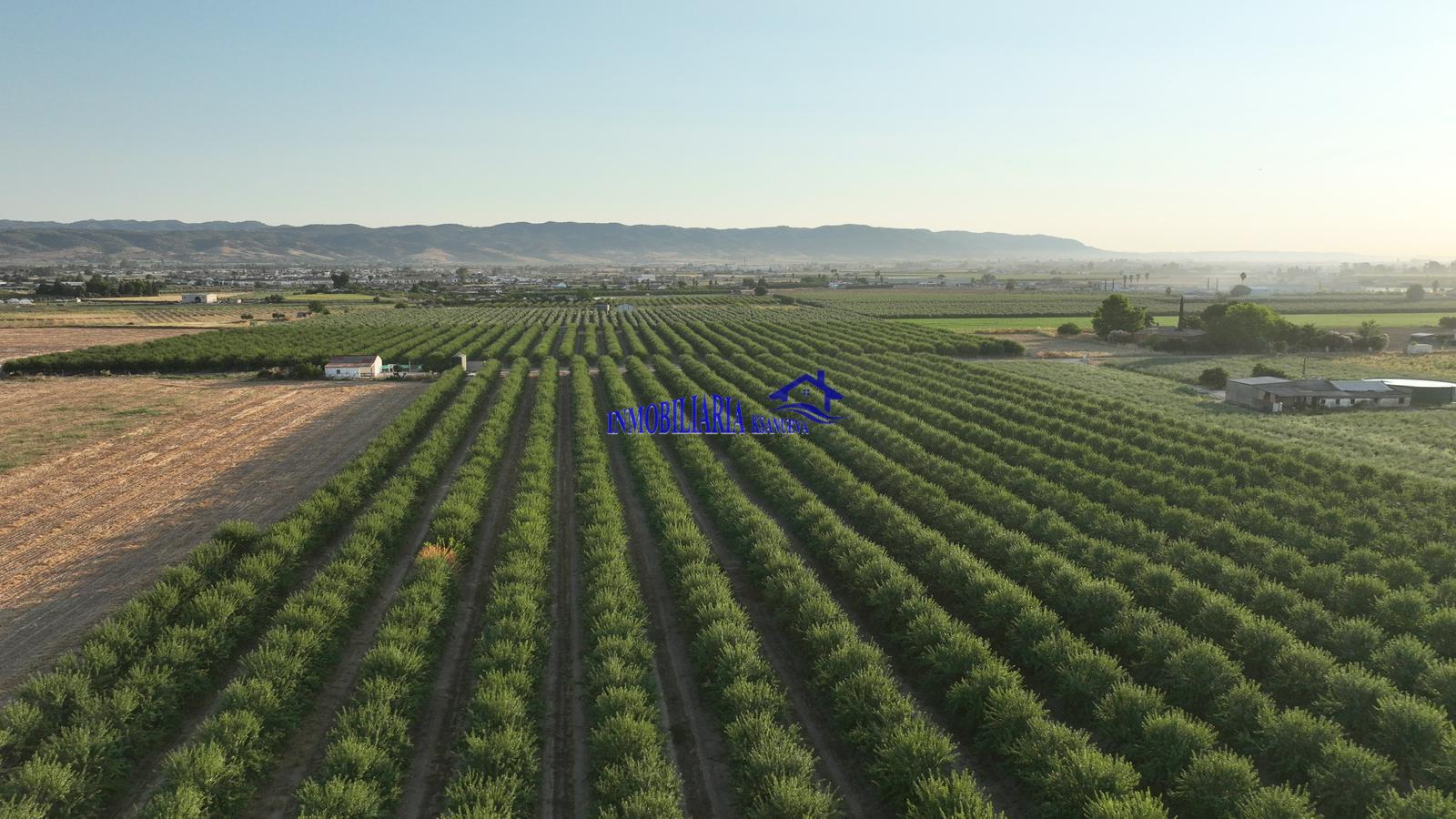 Venta de finca rústica en Córdoba