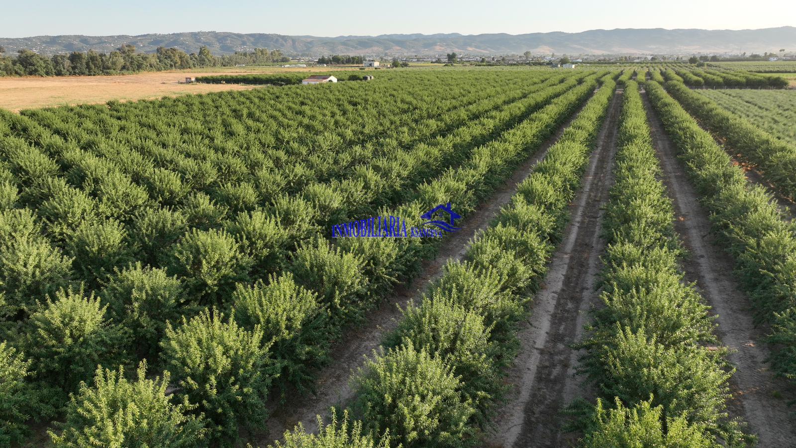 Venta de finca rústica en Córdoba