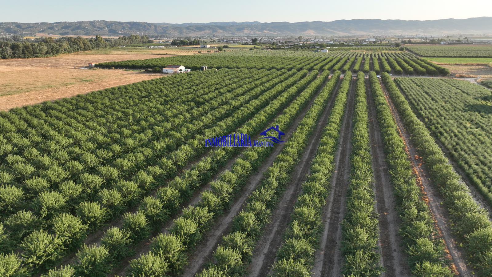 Venta de finca rústica en Córdoba
