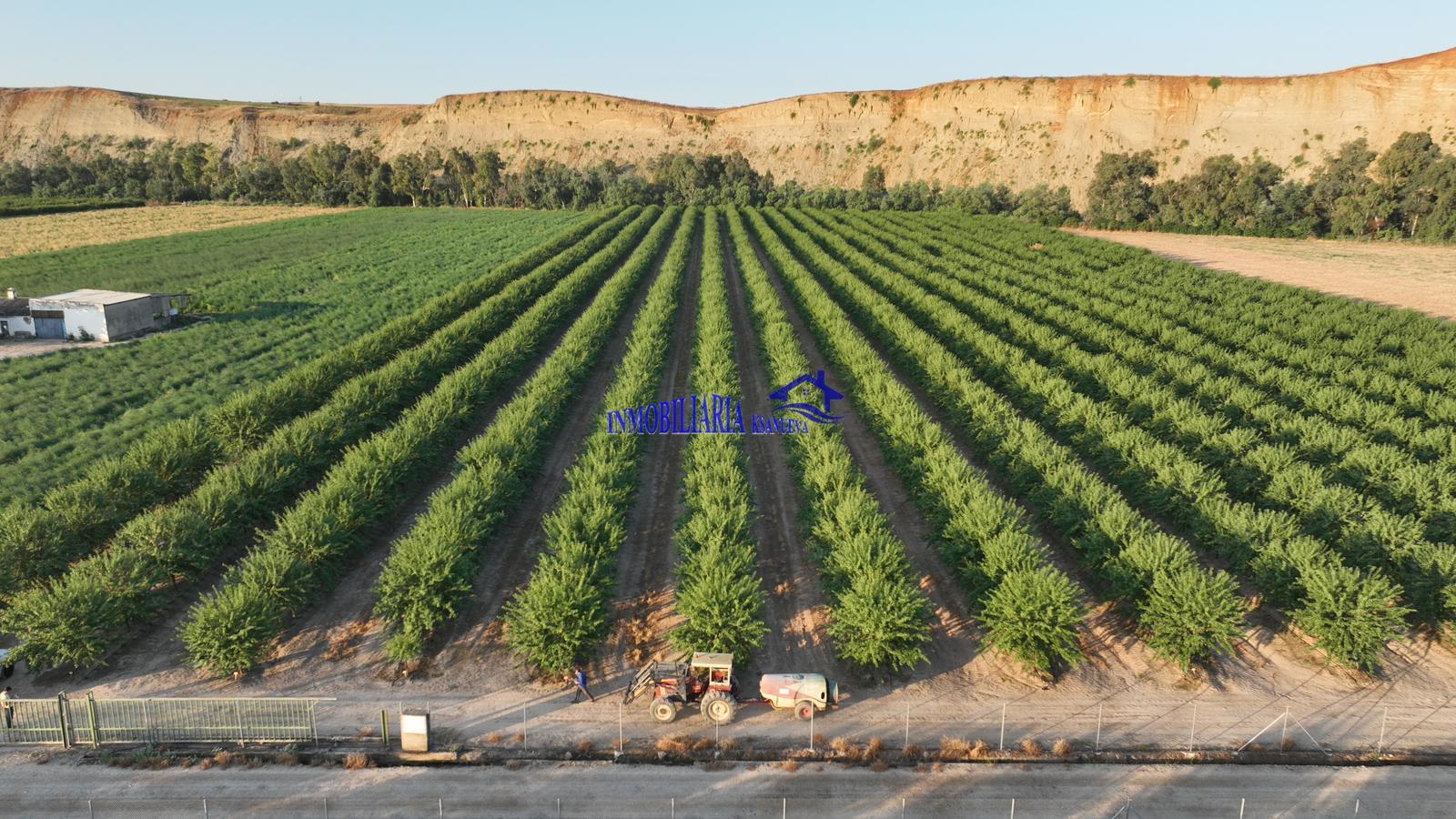 Venta de finca rústica en Córdoba