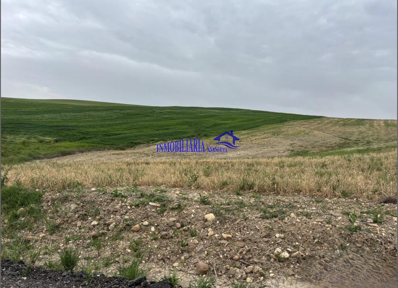 Venta de finca rústica en Córdoba