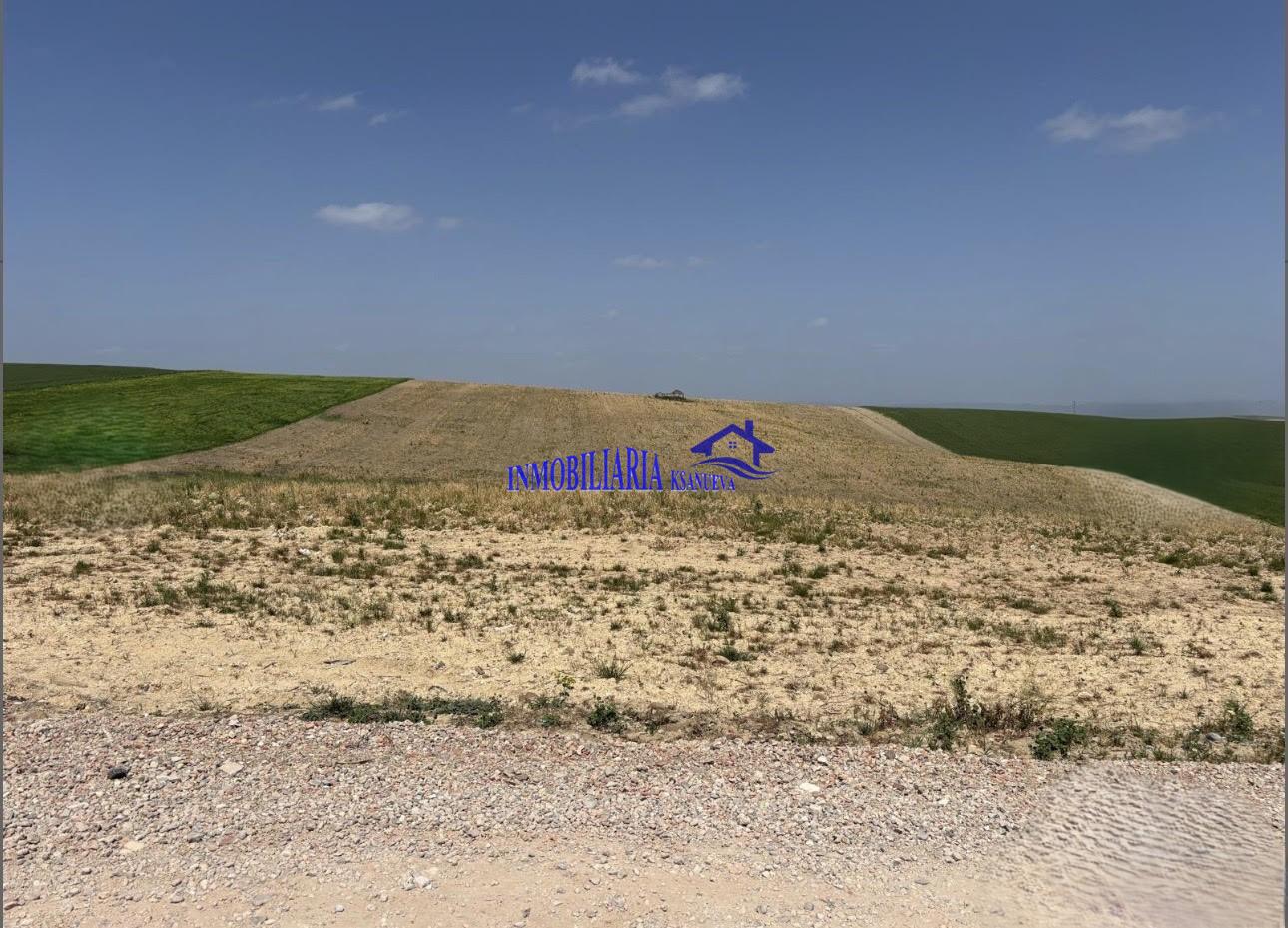 Venta de finca rústica en Córdoba