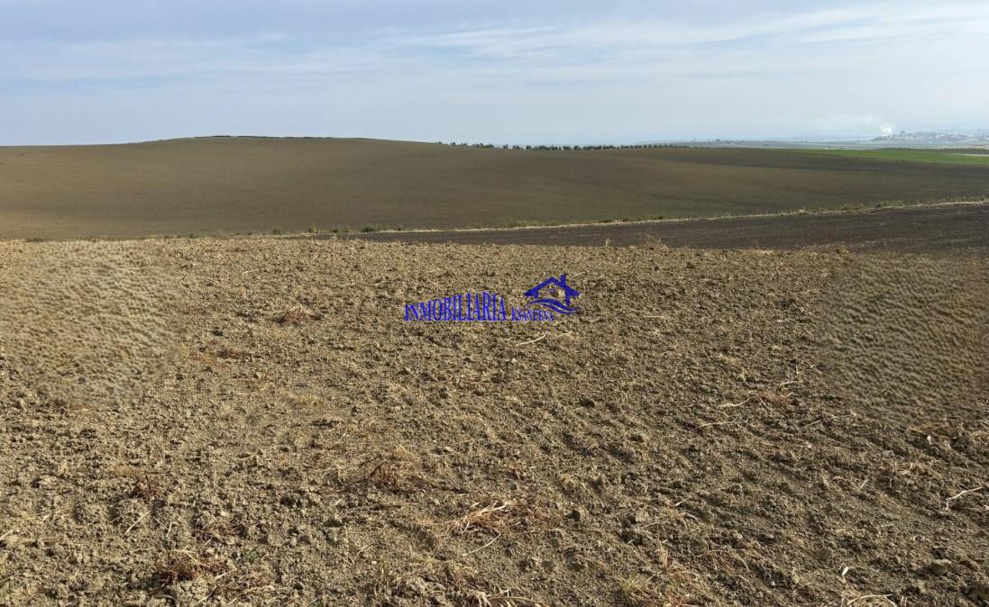 Venta de finca rústica en Córdoba