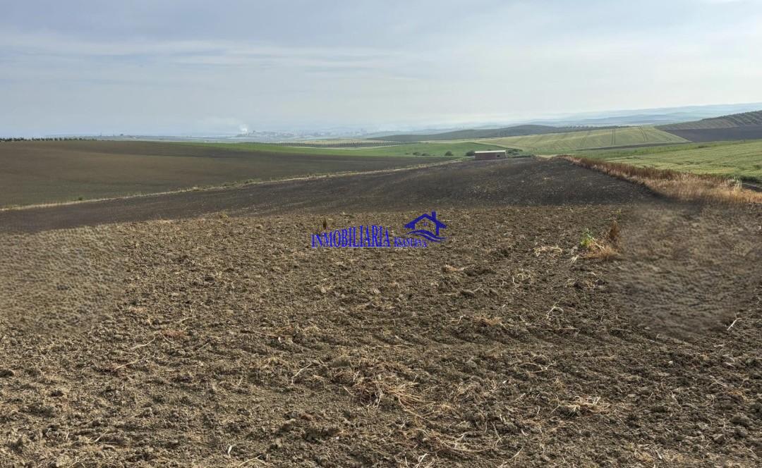 Venta de finca rústica en Córdoba