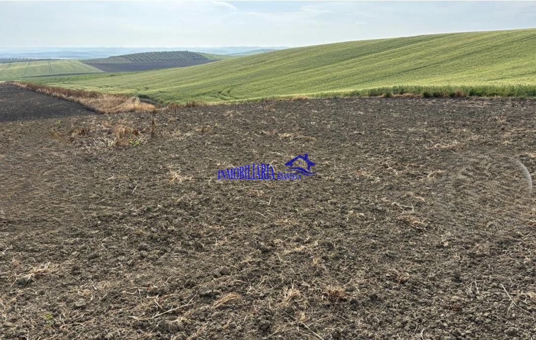 Venta de finca rústica en Córdoba
