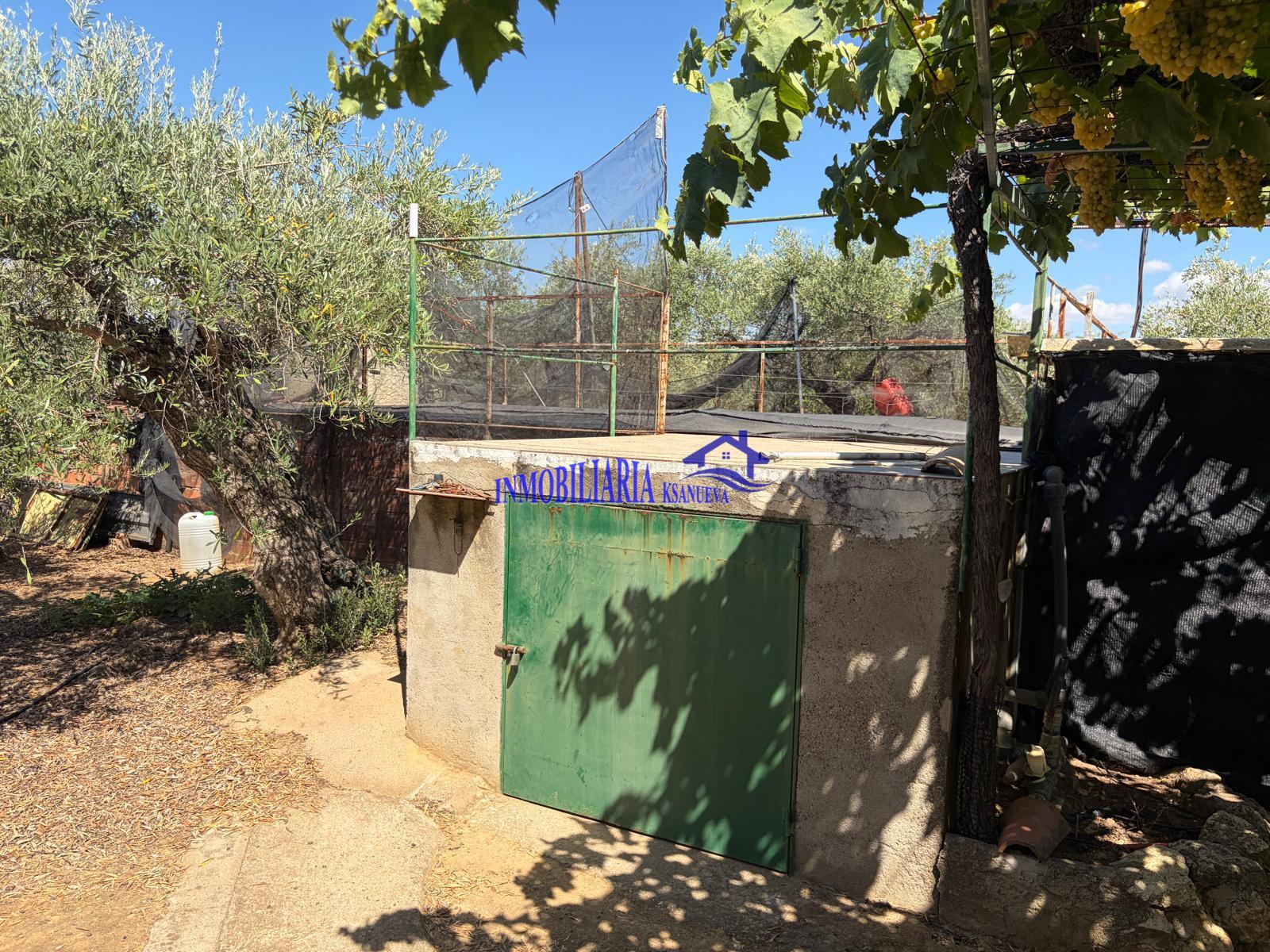Venta de finca rústica en Córdoba