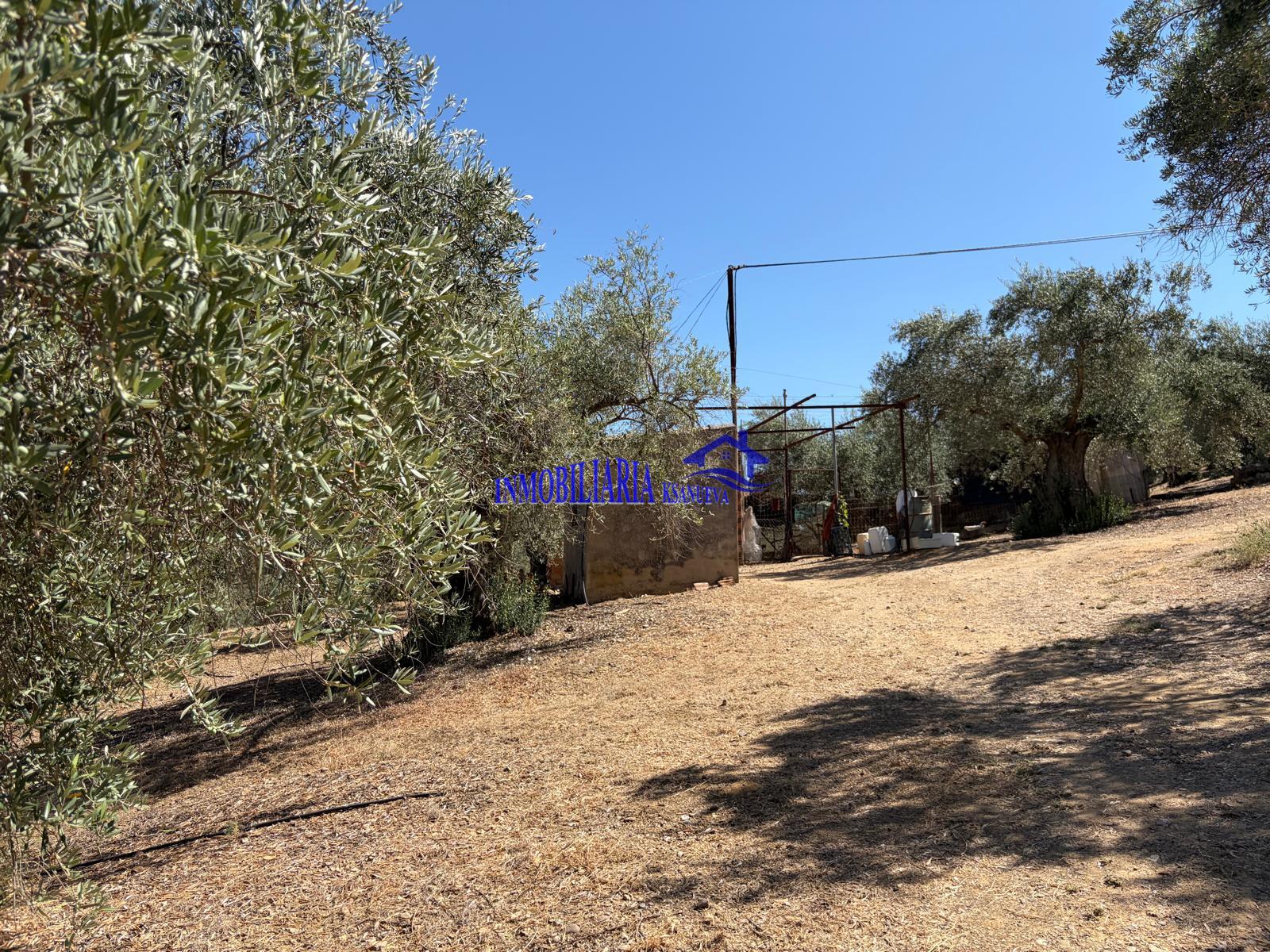 Venta de finca rústica en Córdoba