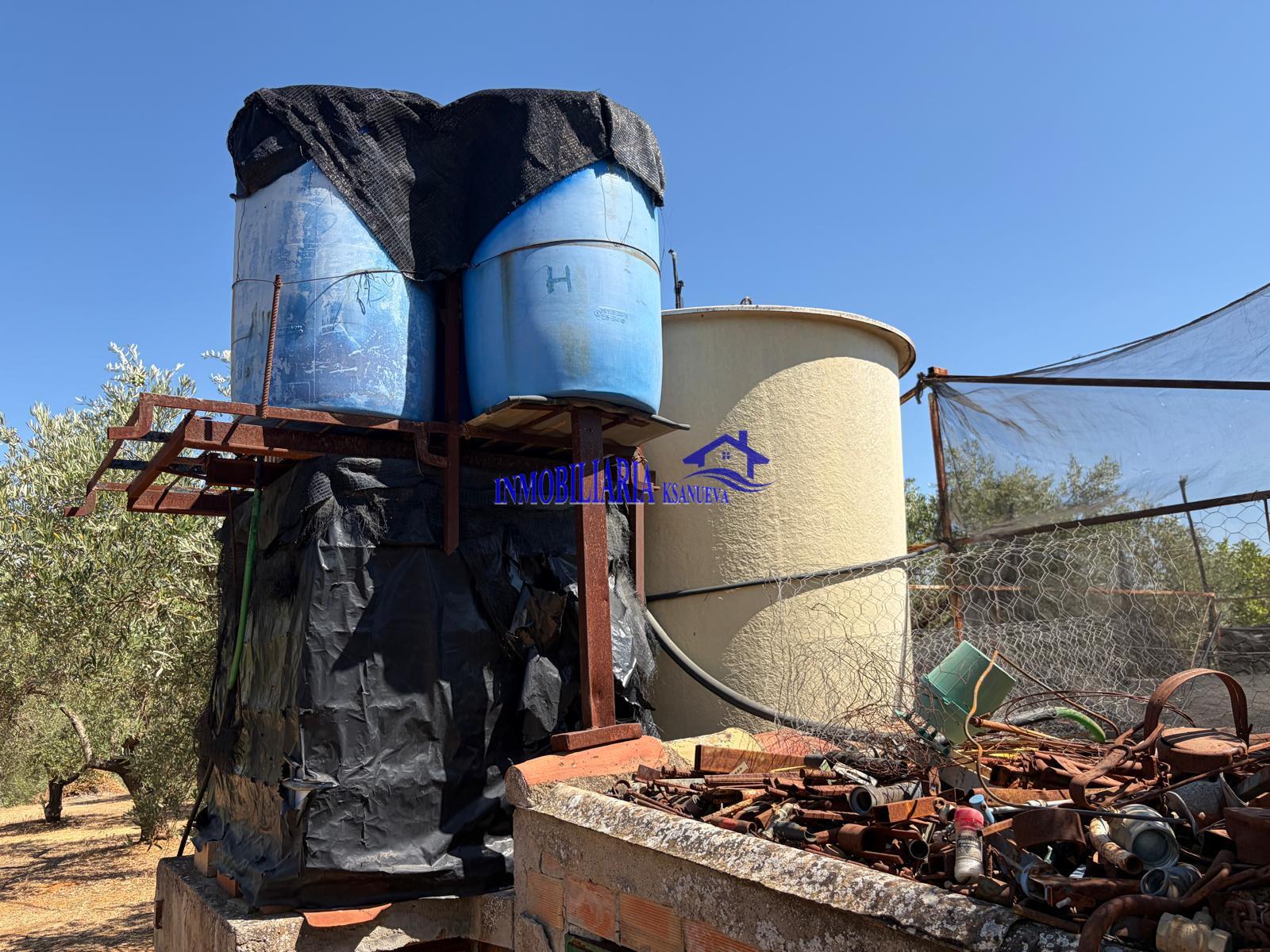 Venta de finca rústica en Córdoba