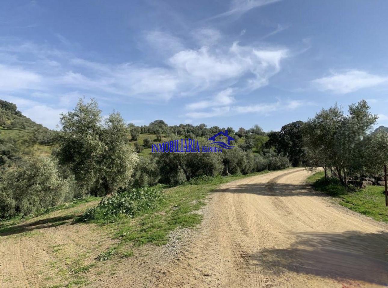 Venta de finca rústica en Córdoba