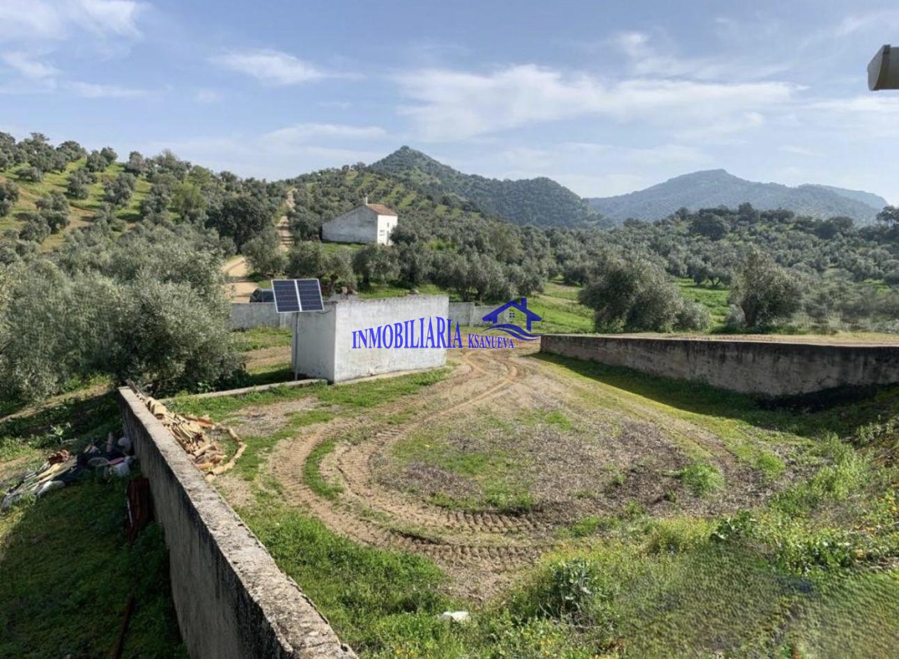 Venta de finca rústica en Córdoba
