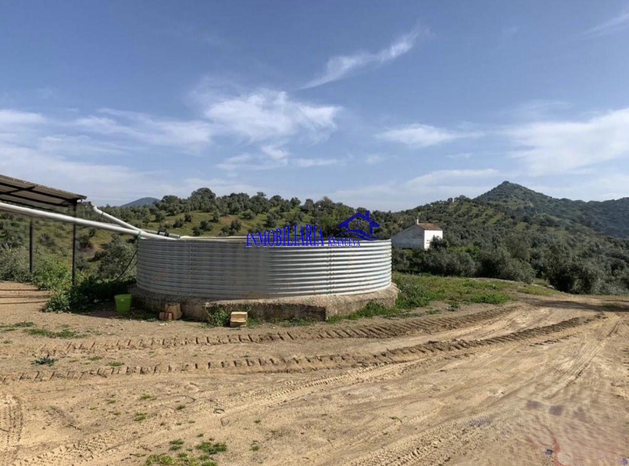 Venta de finca rústica en Córdoba