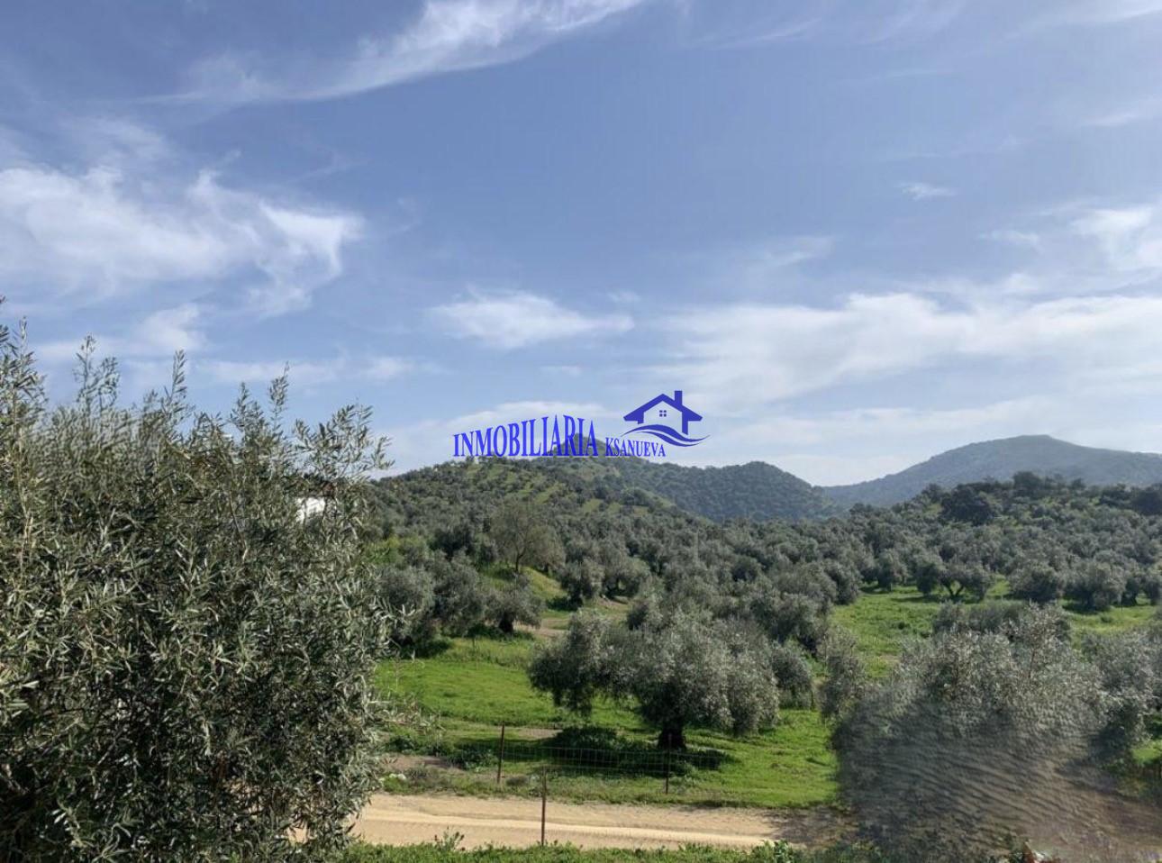 Venta de finca rústica en Córdoba