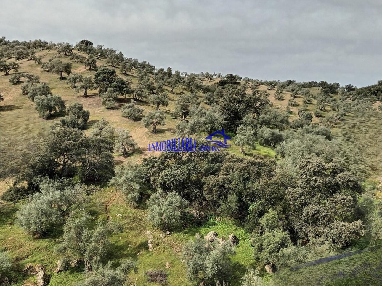 Venta de finca rústica en Córdoba