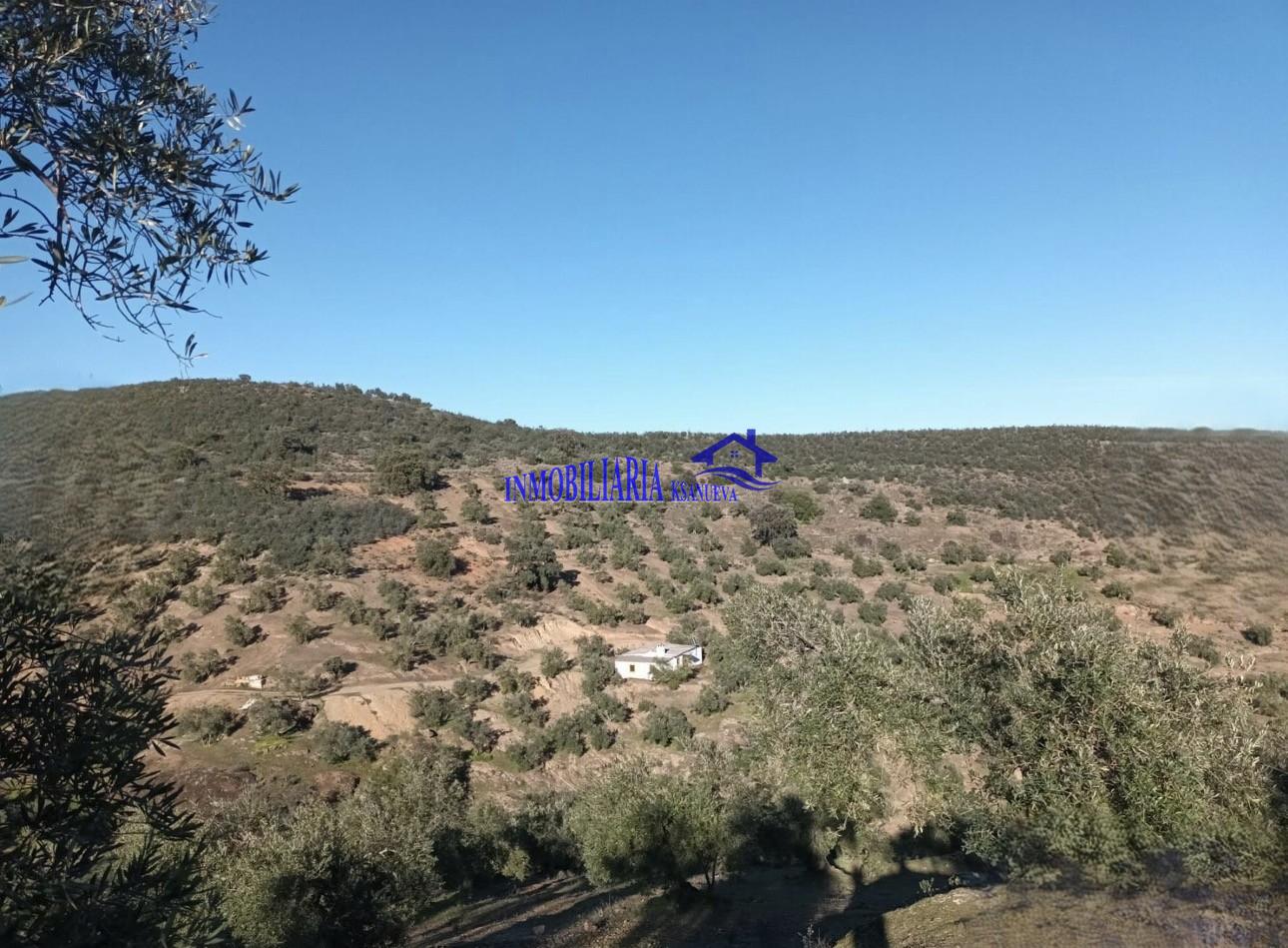 Venta de finca rústica en Córdoba