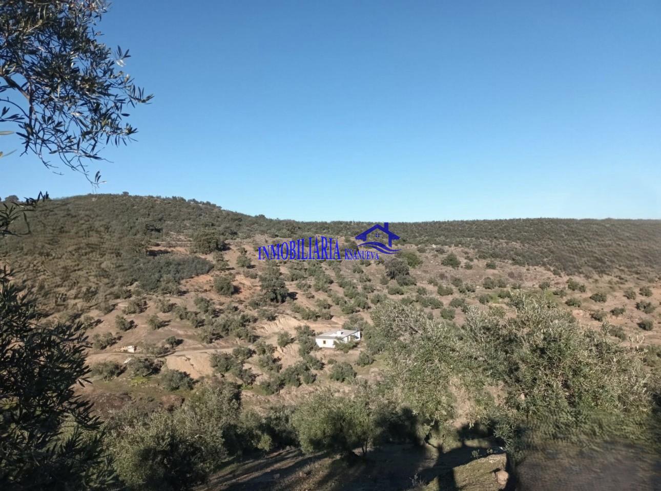 Venta de finca rústica en Córdoba
