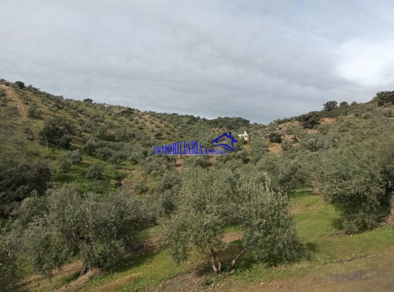 Venta de finca rústica en Córdoba