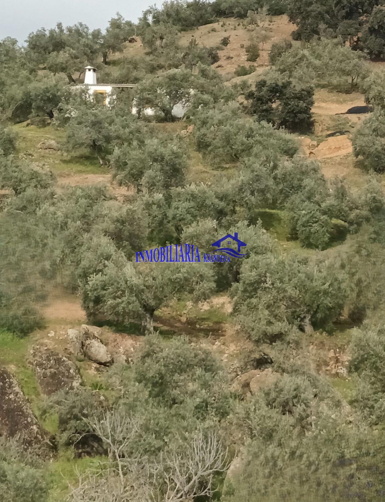 Venta de finca rústica en Córdoba