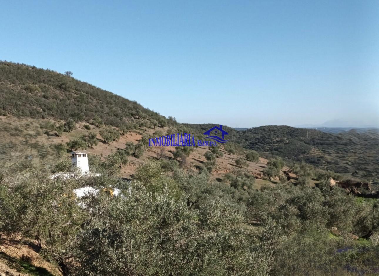 Venta de finca rústica en Córdoba