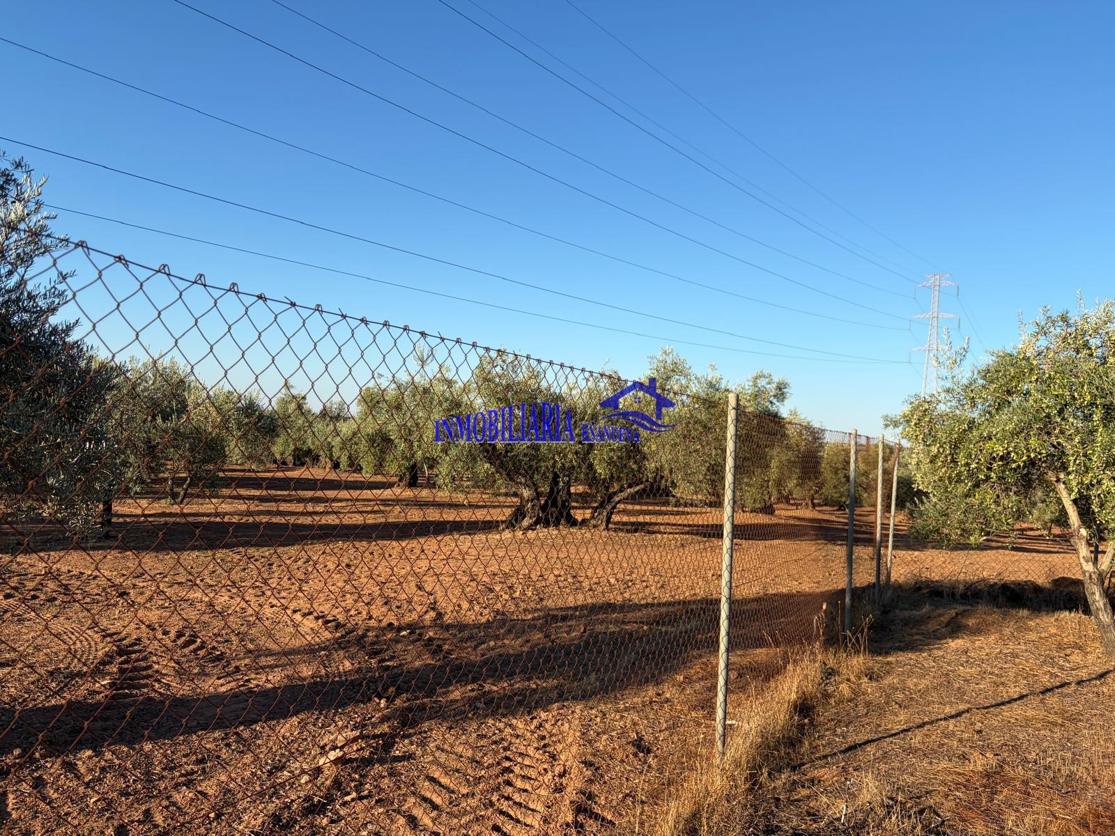 Venta de finca rústica en Córdoba