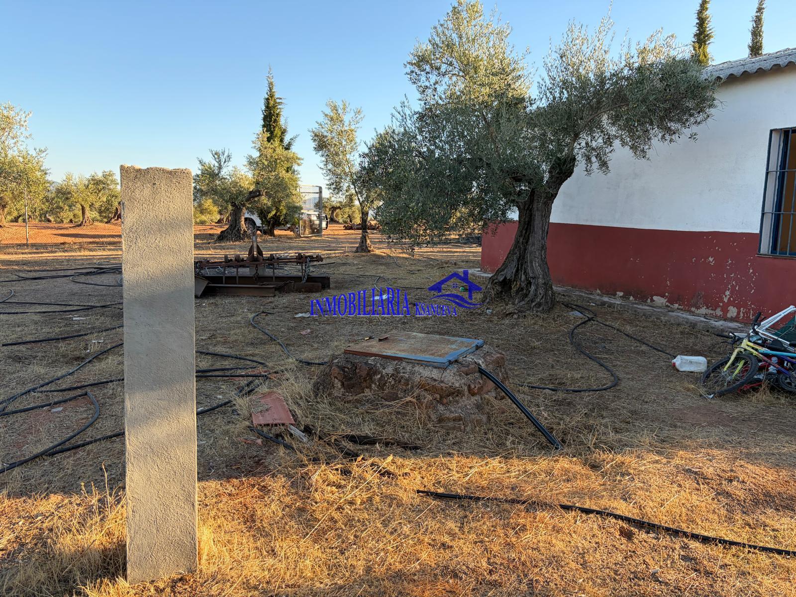 Venta de finca rústica en Córdoba