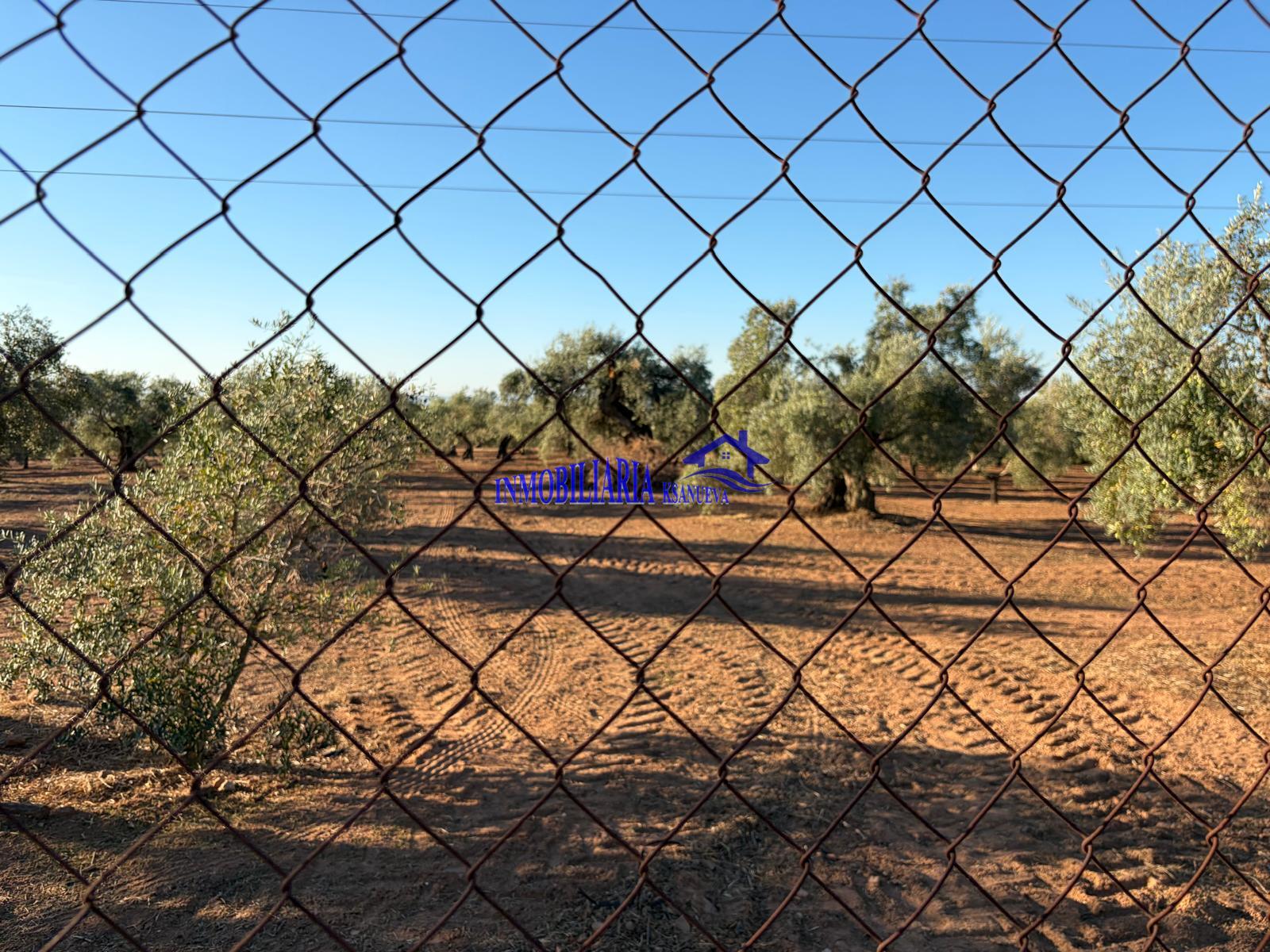 Venta de finca rústica en Córdoba