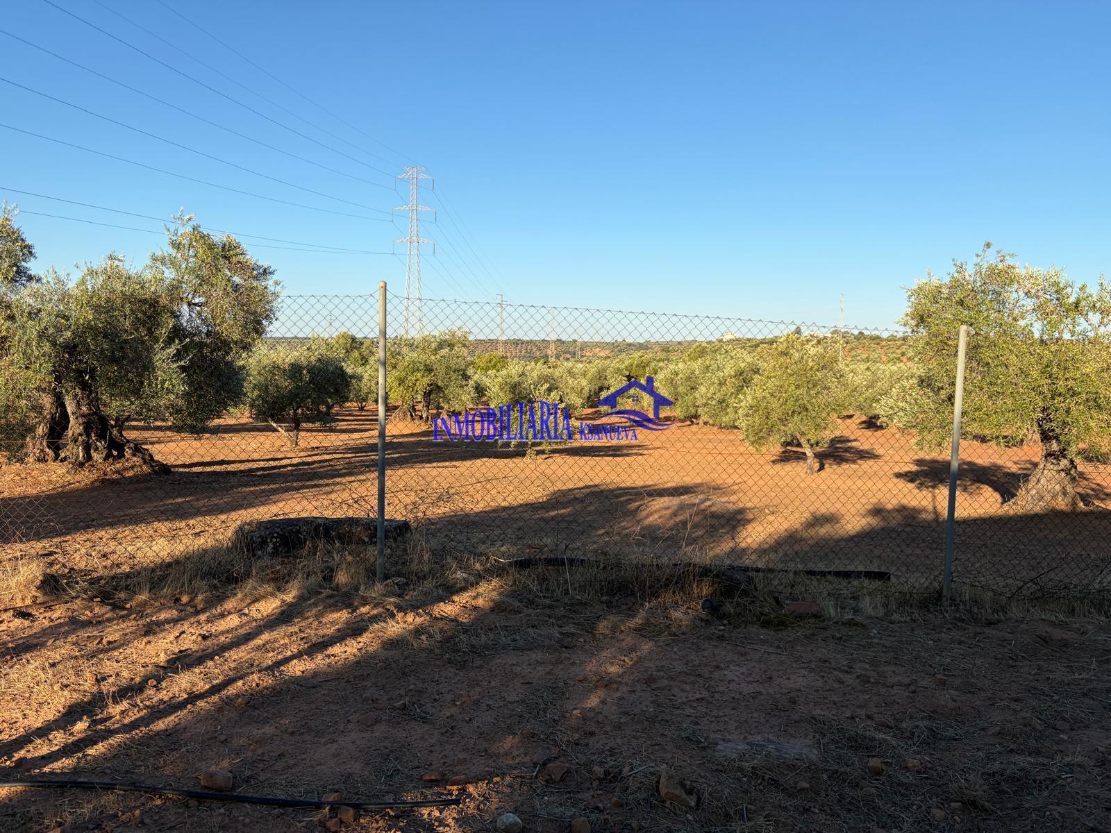 Venta de finca rústica en Córdoba