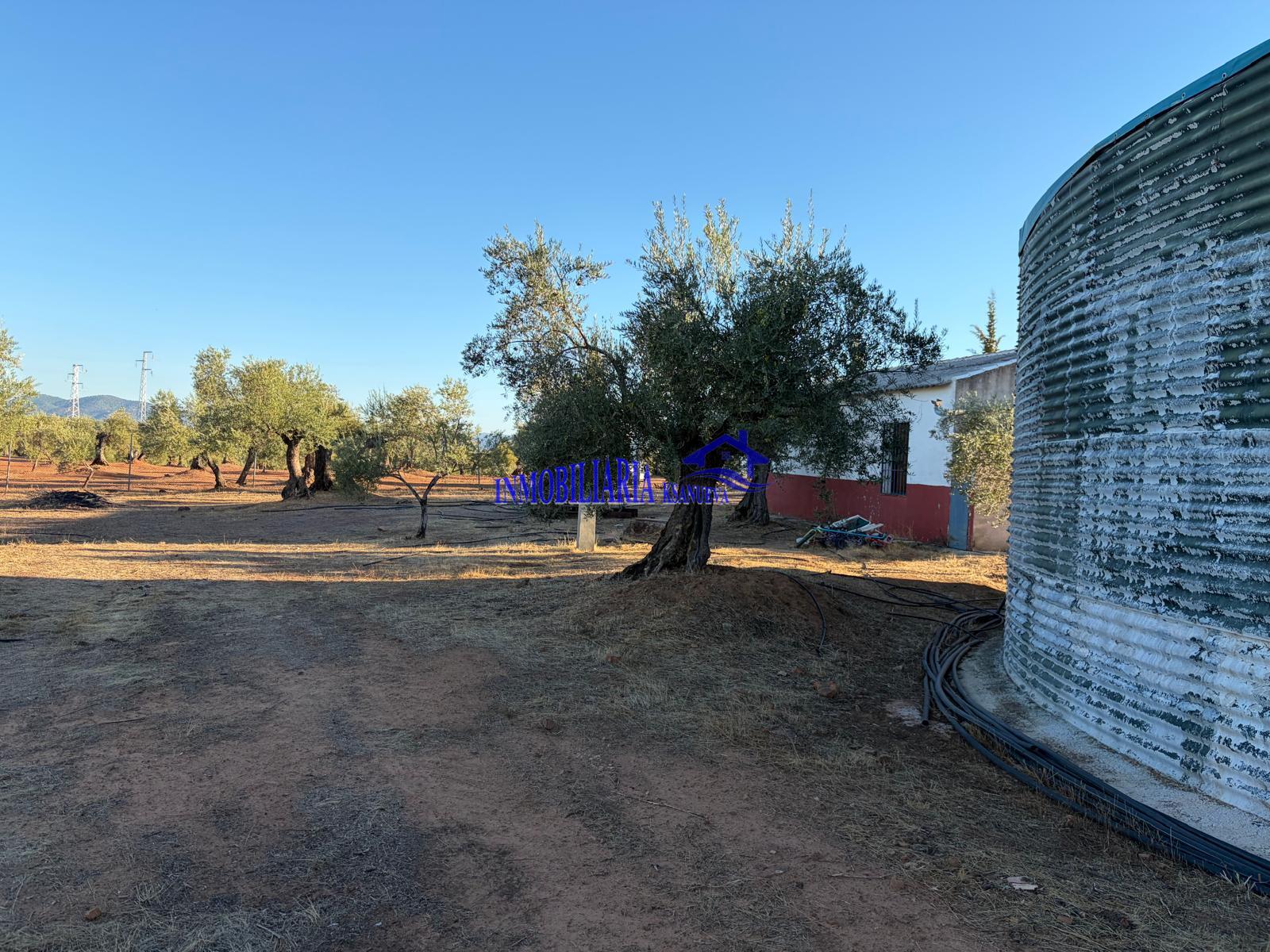 Venta de finca rústica en Córdoba