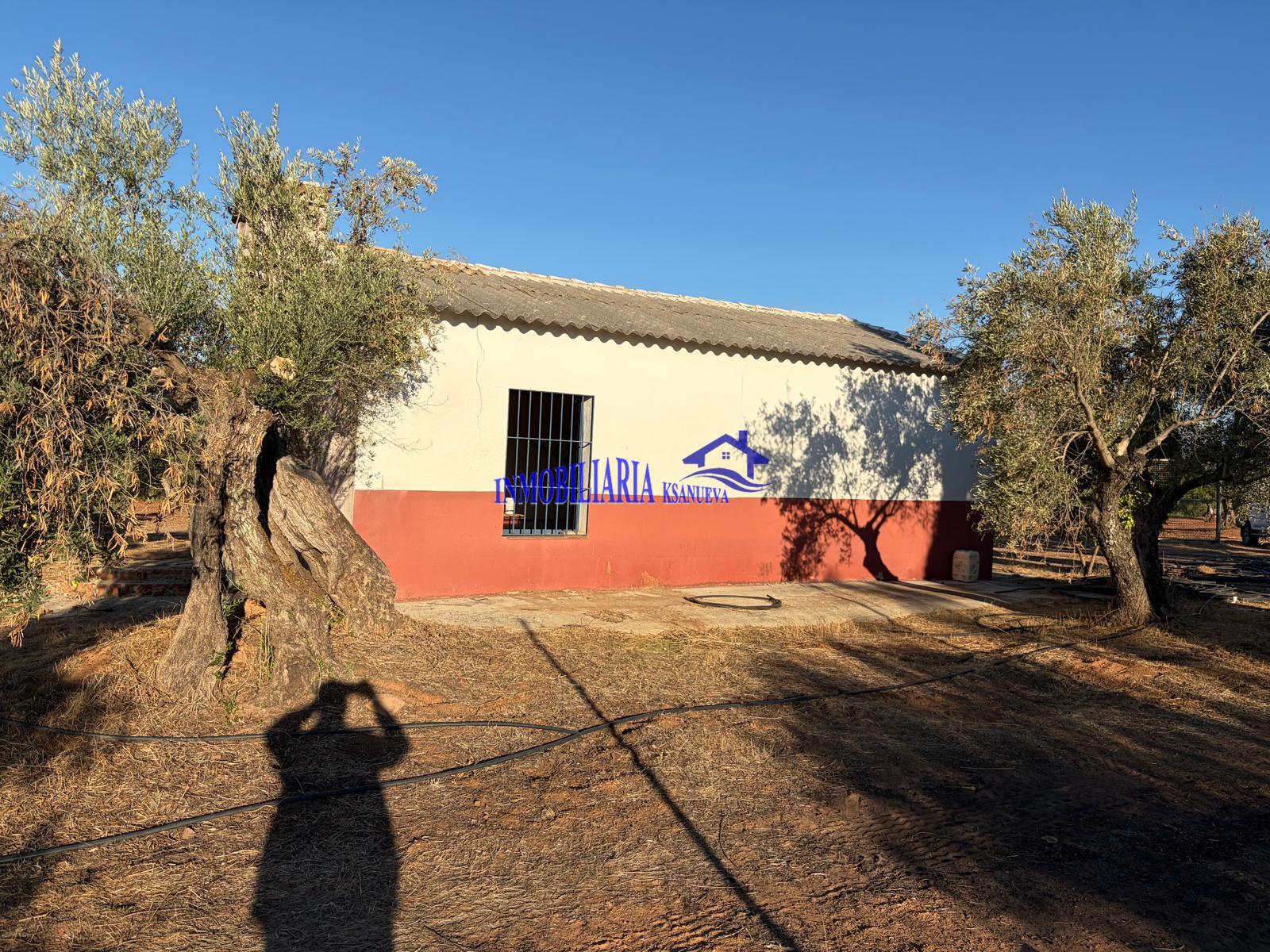 Venta de finca rústica en Córdoba
