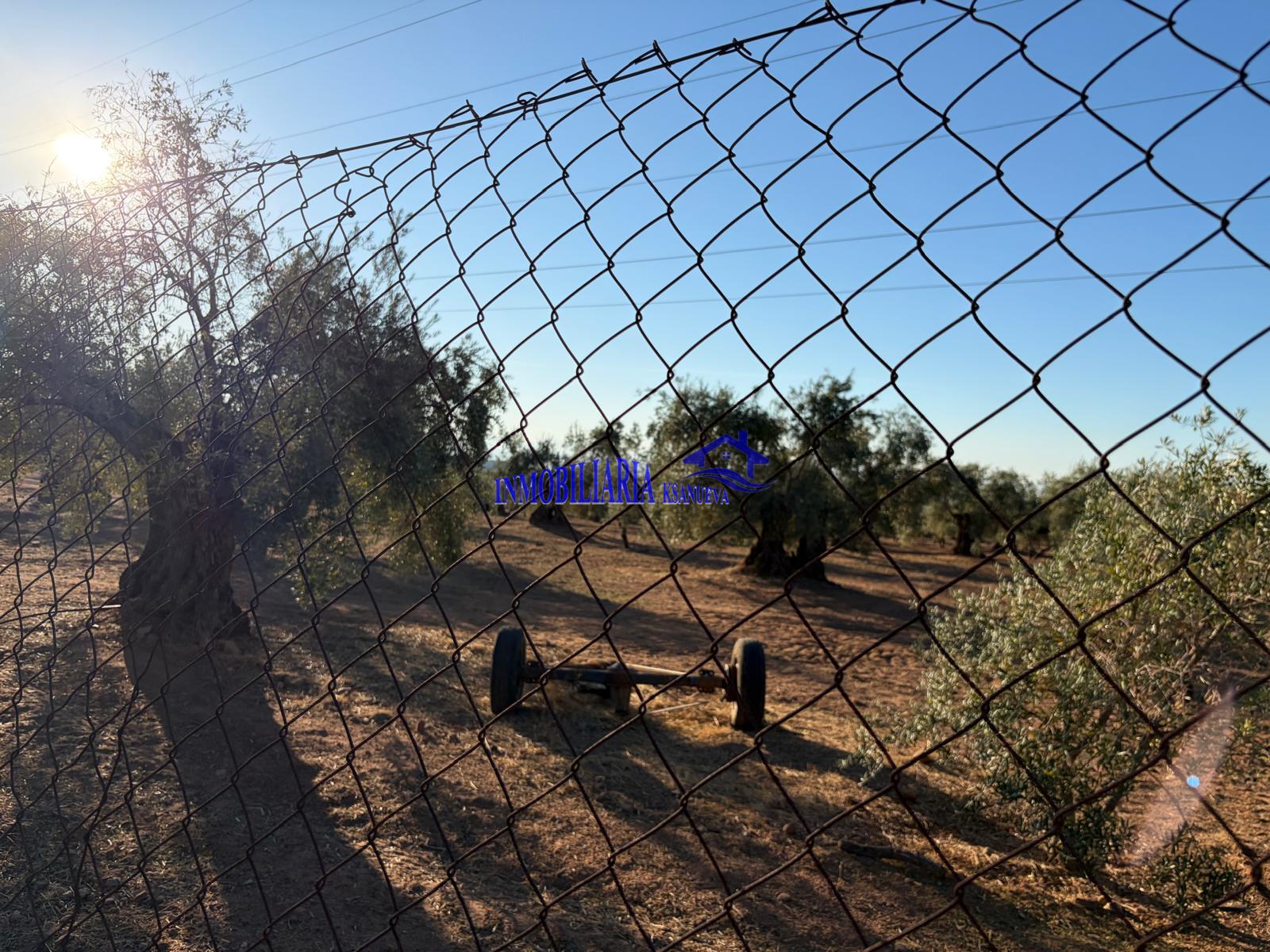 Venta de finca rústica en Córdoba