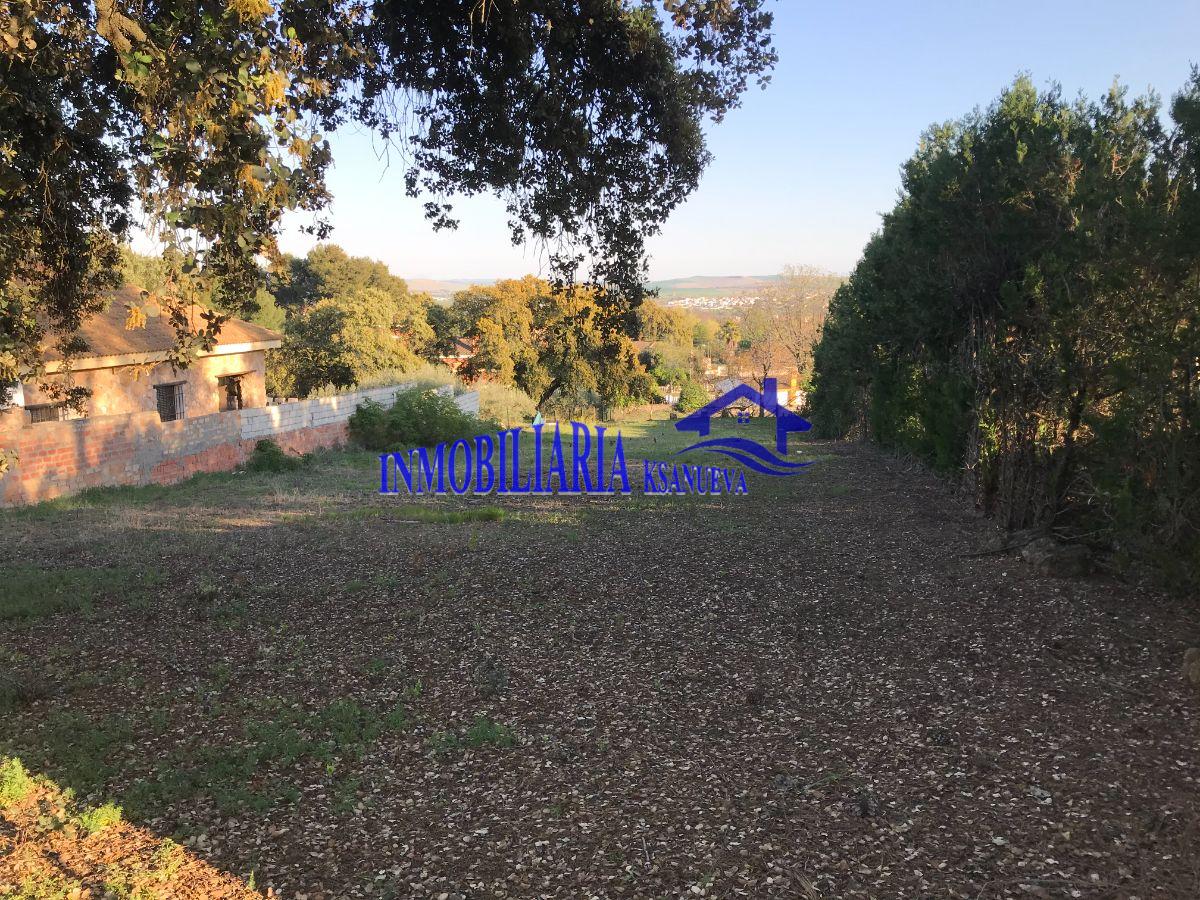 For sale of land in Córdoba