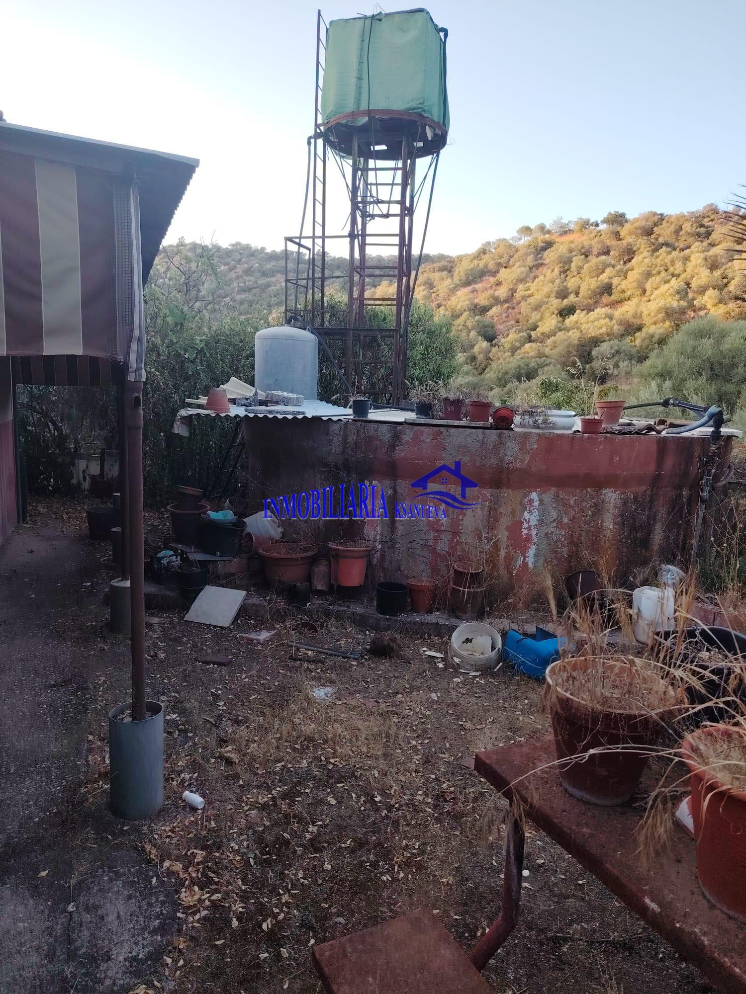 Venta de finca rústica en Córdoba