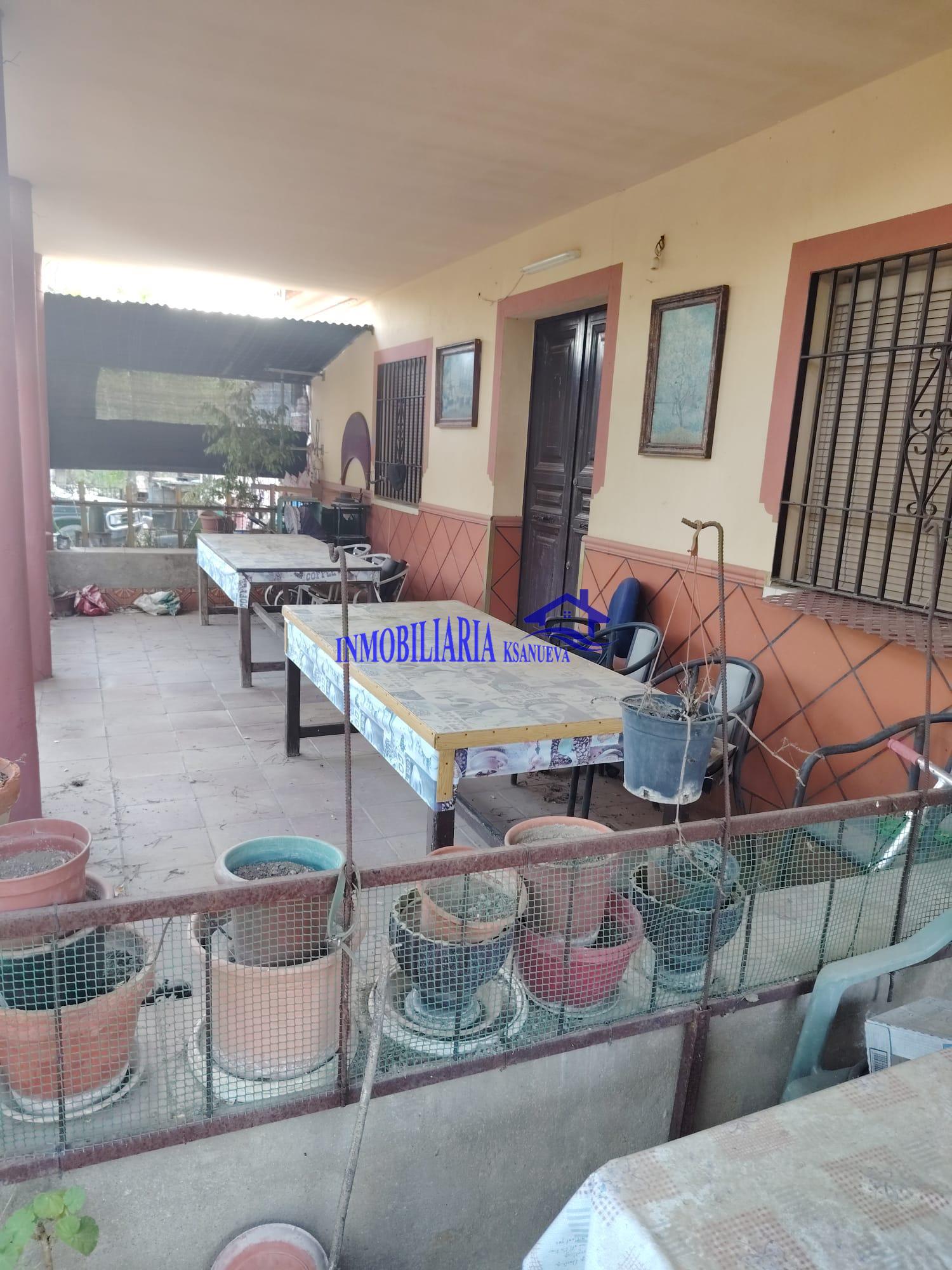 Venta de finca rústica en Córdoba