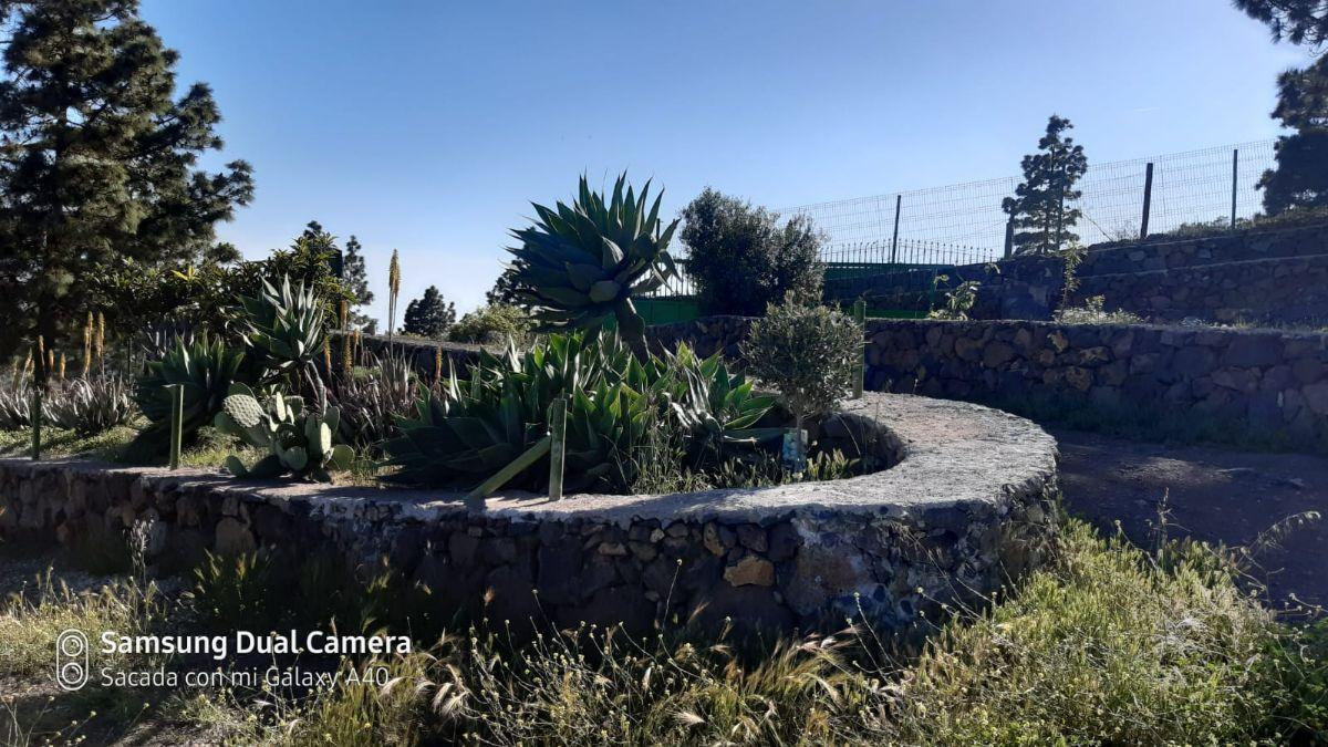 Venda de chão em San Miguel de Abona