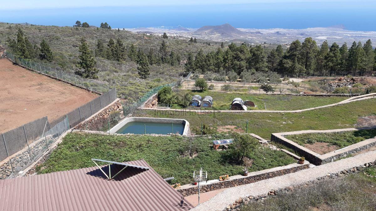 Venda de chão em San Miguel de Abona