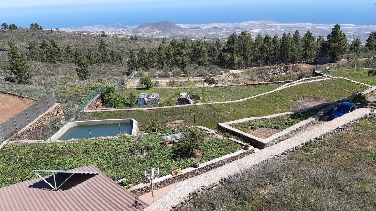 Salgai  lurrera  San Miguel de Abona