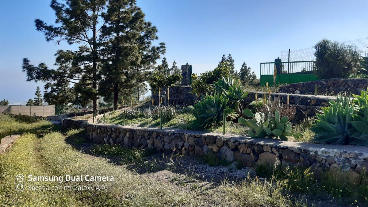 Vente de terrain dans San Miguel de Abona