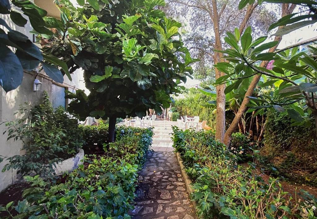 Zu verkaufen von studio in
 Puerto de la Cruz